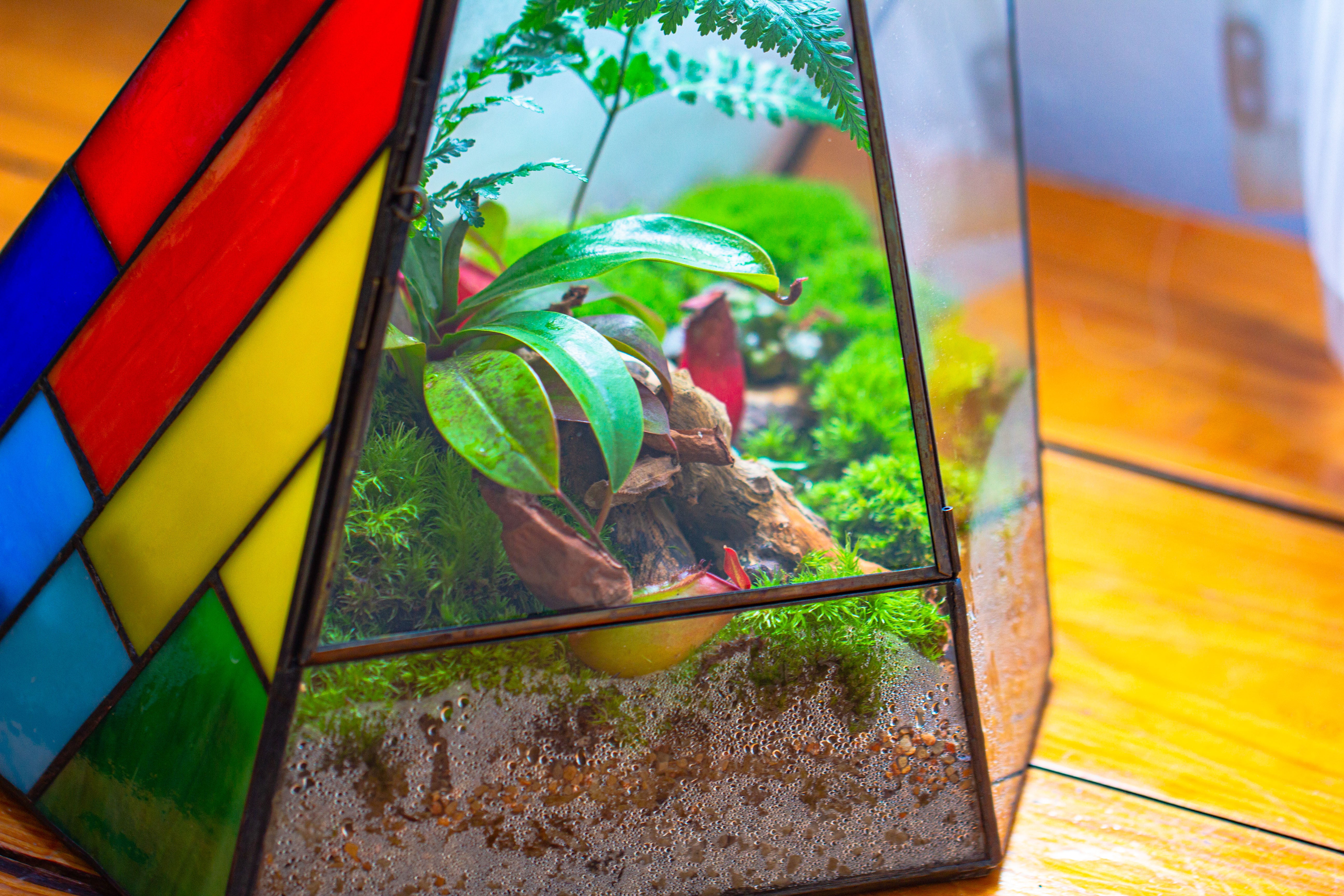 Rainbow Stained Glass Irregular Geometric Ice Peak  Shape Terrarium, Close - NCYPgarden