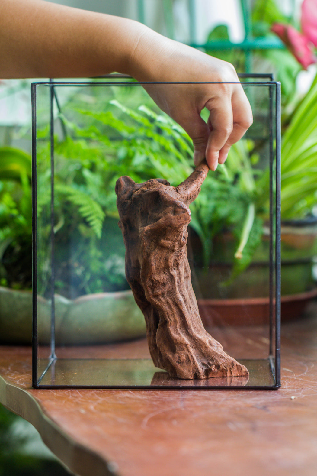 Natural driftwood for moss terrarium, miniature, micro landscape, unique  10-5, suitable for both live and preserved moss - NCYPgarden