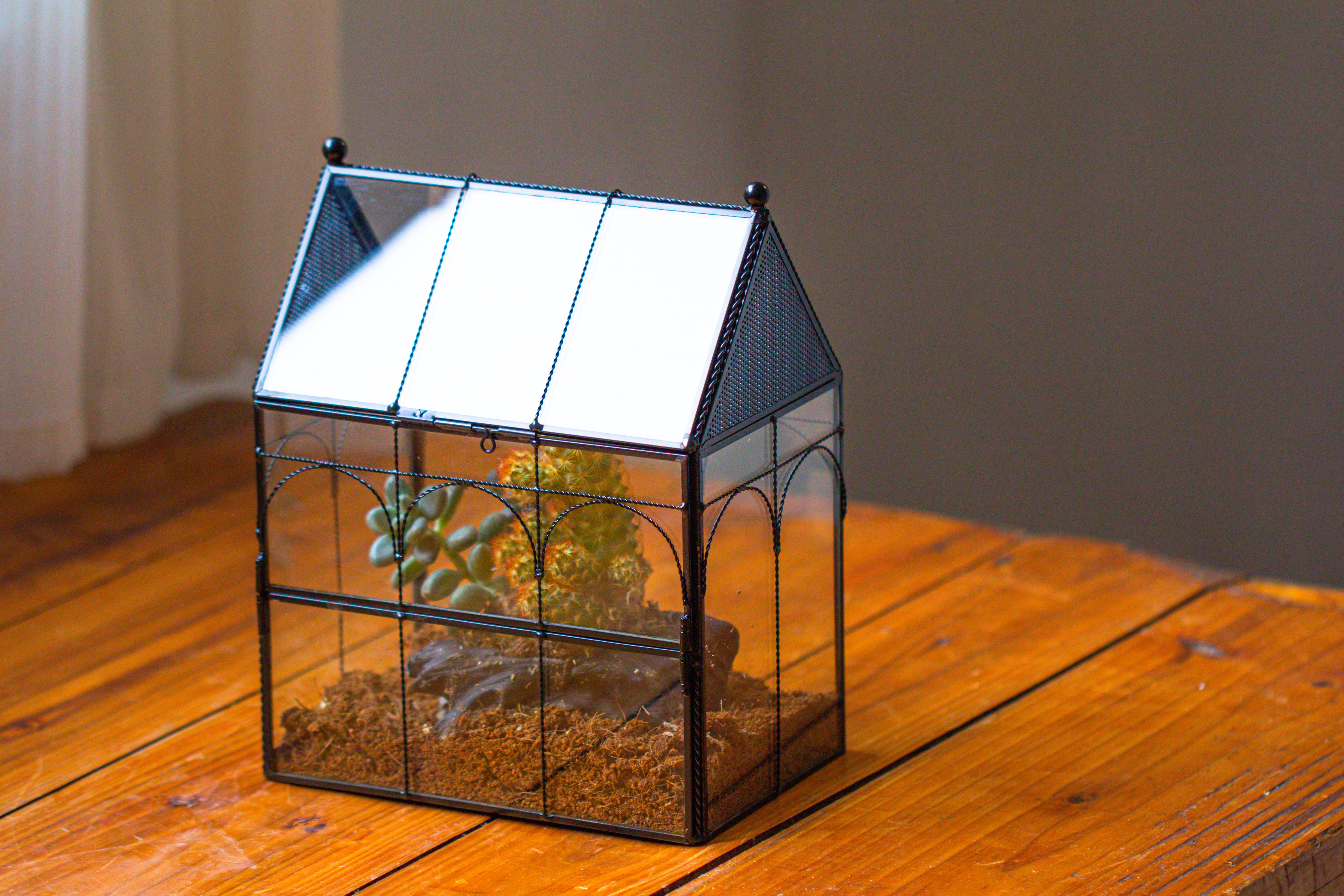 NCYP Vintage House Shape Glass Geometric Terrarium, with side door, with Mesh vent holes for small Insects Pet - NCYPgarden