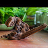 Copy of Natural driftwood for moss terrarium, miniature, micro landscape, unique  10-39, suitable for both live and preserved moss - NCYPgarden