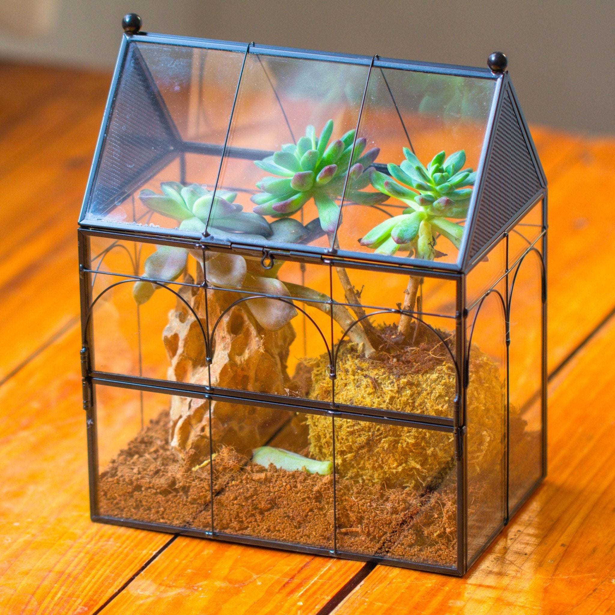 Window Terrarium NCYP Vintage House Shape Glass Geometric Terrarium, with side door, wi ...