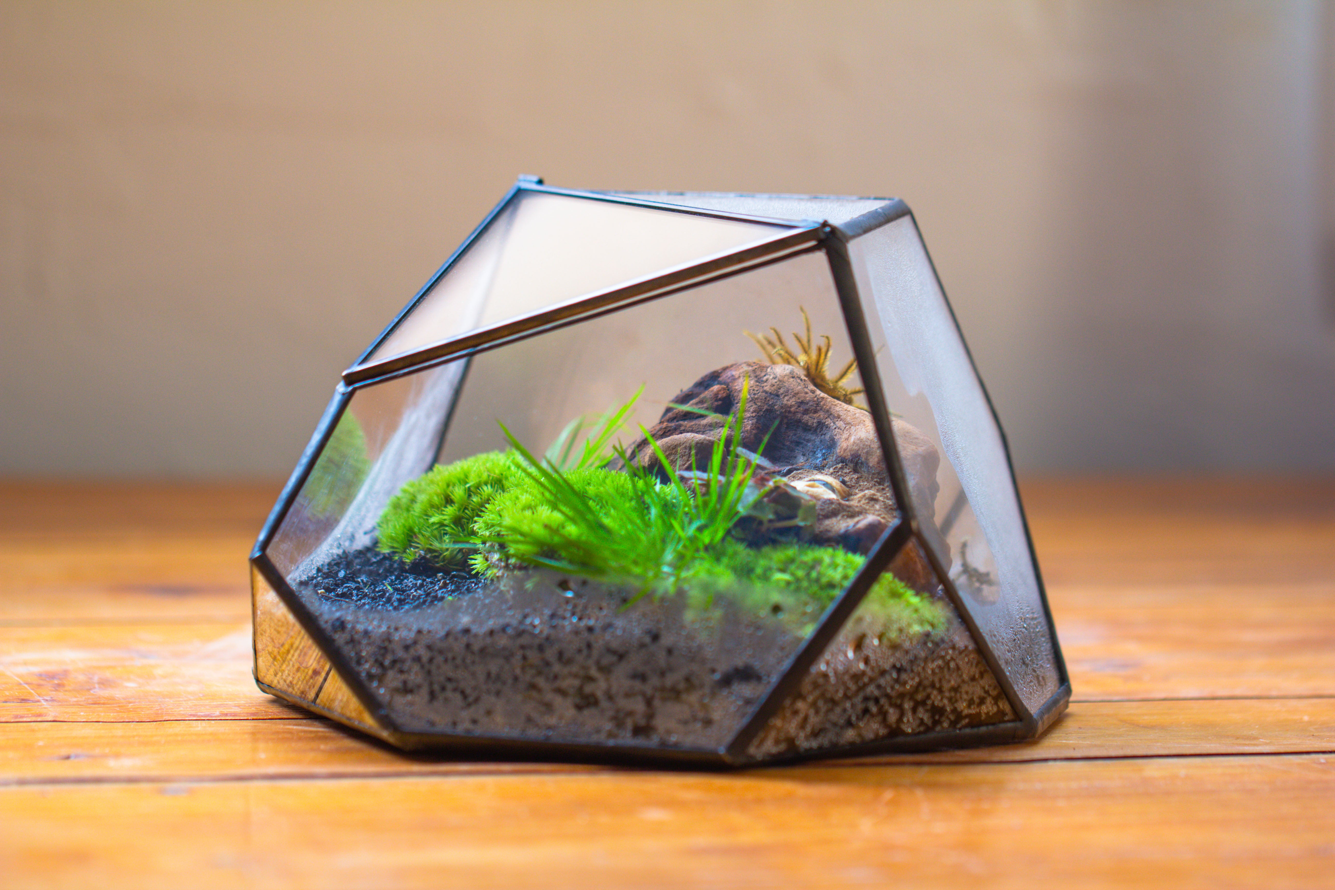 Geometric Terrarium Irregular, handmade,Tin and Glass - NCYPgarden