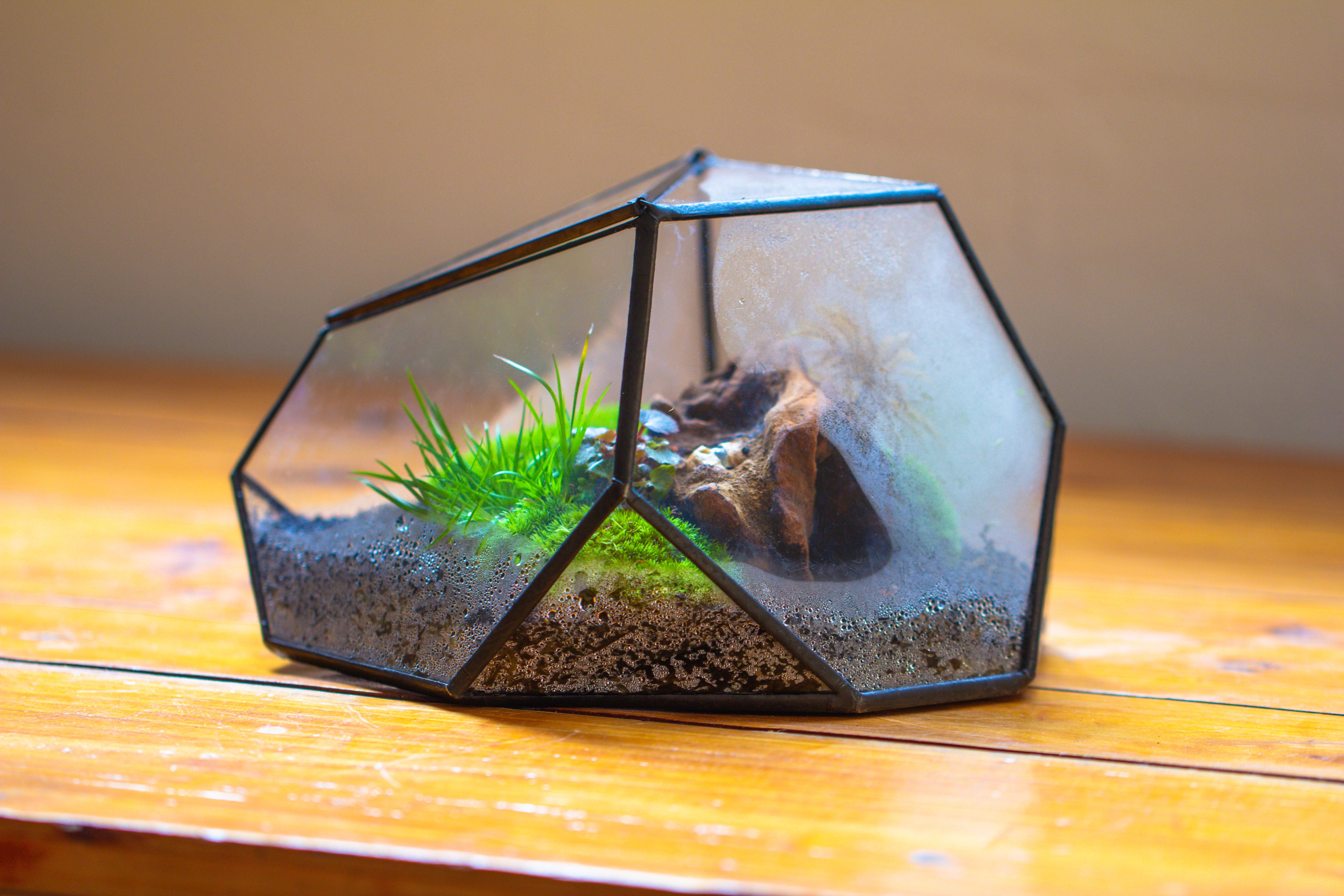 Geometric Terrarium Irregular, handmade,Tin and Glass - NCYPgarden