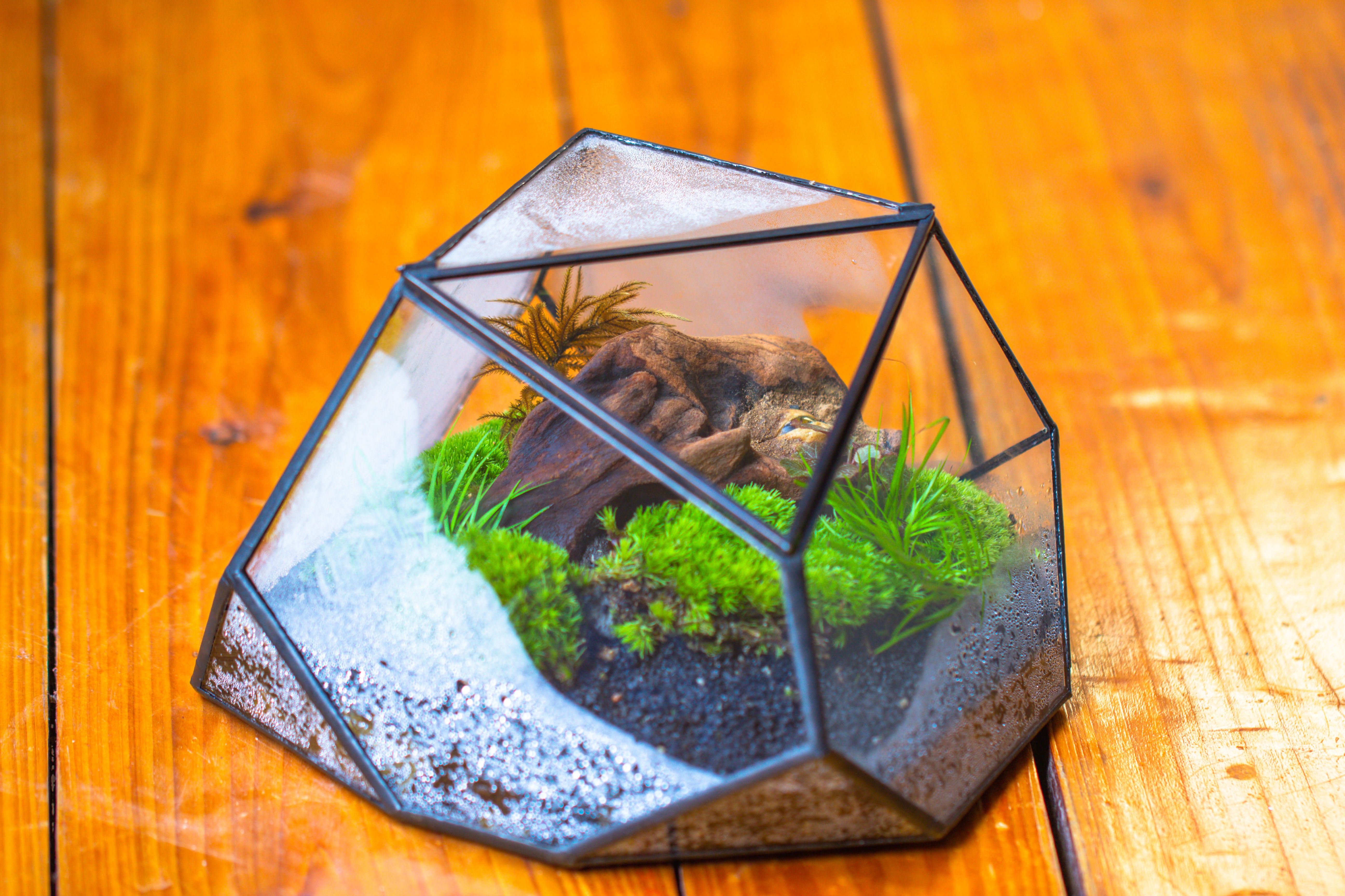 Geometric Terrarium Irregular, handmade,Tin and Glass - NCYPgarden