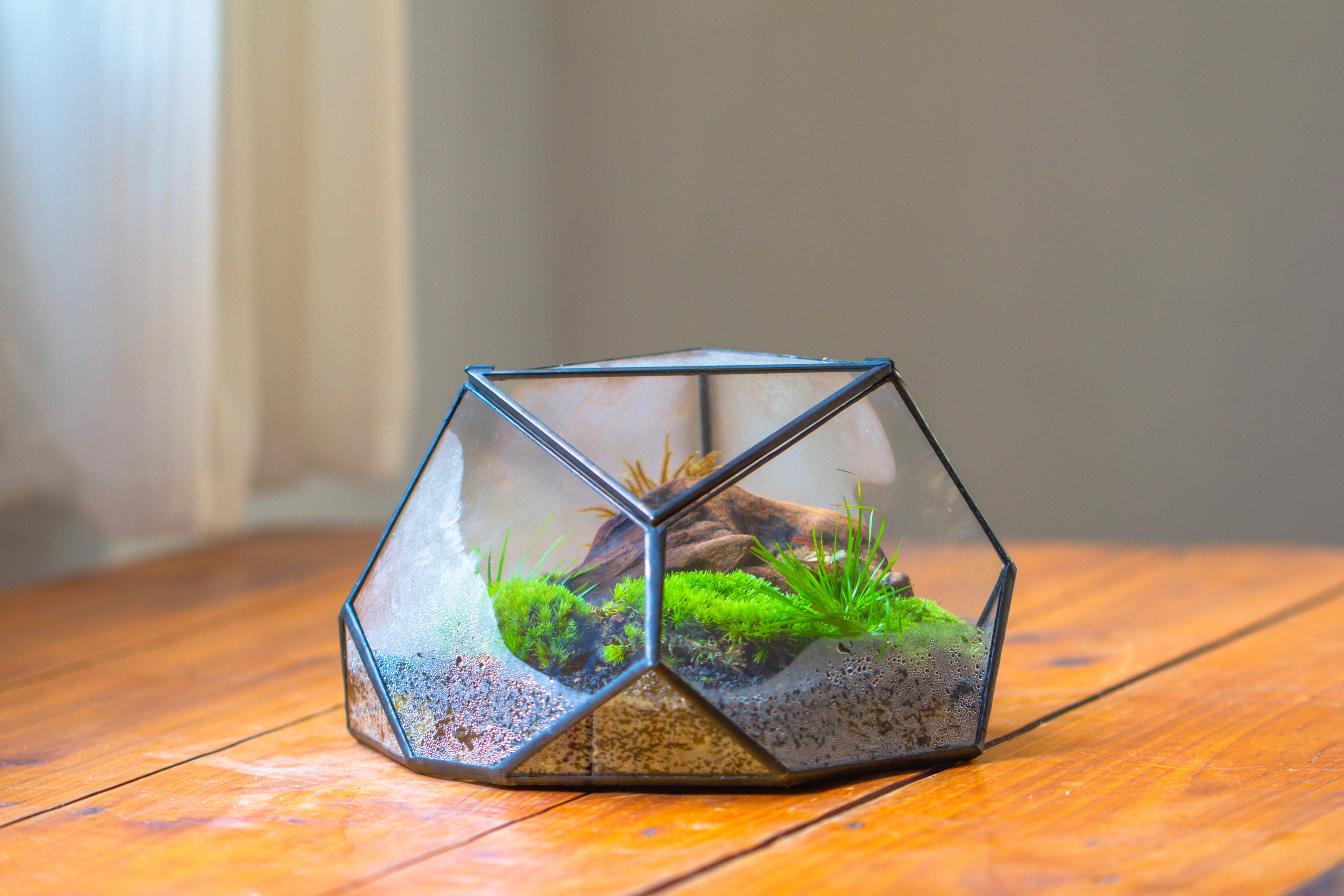 Geometric Terrarium Irregular, handmade,Tin and Glass - NCYPgarden