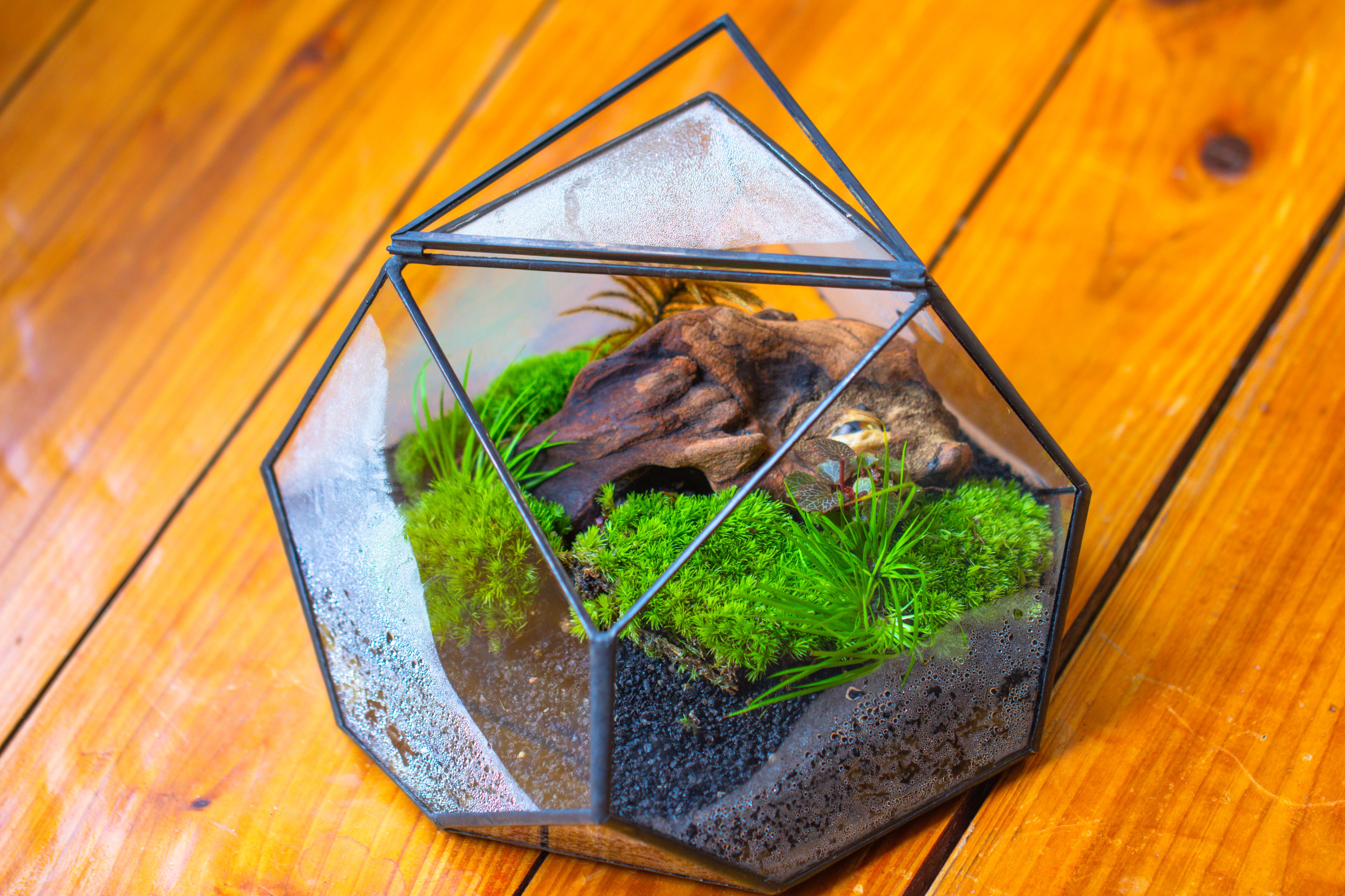 Geometric Terrarium Irregular, handmade,Tin and Glass - NCYPgarden