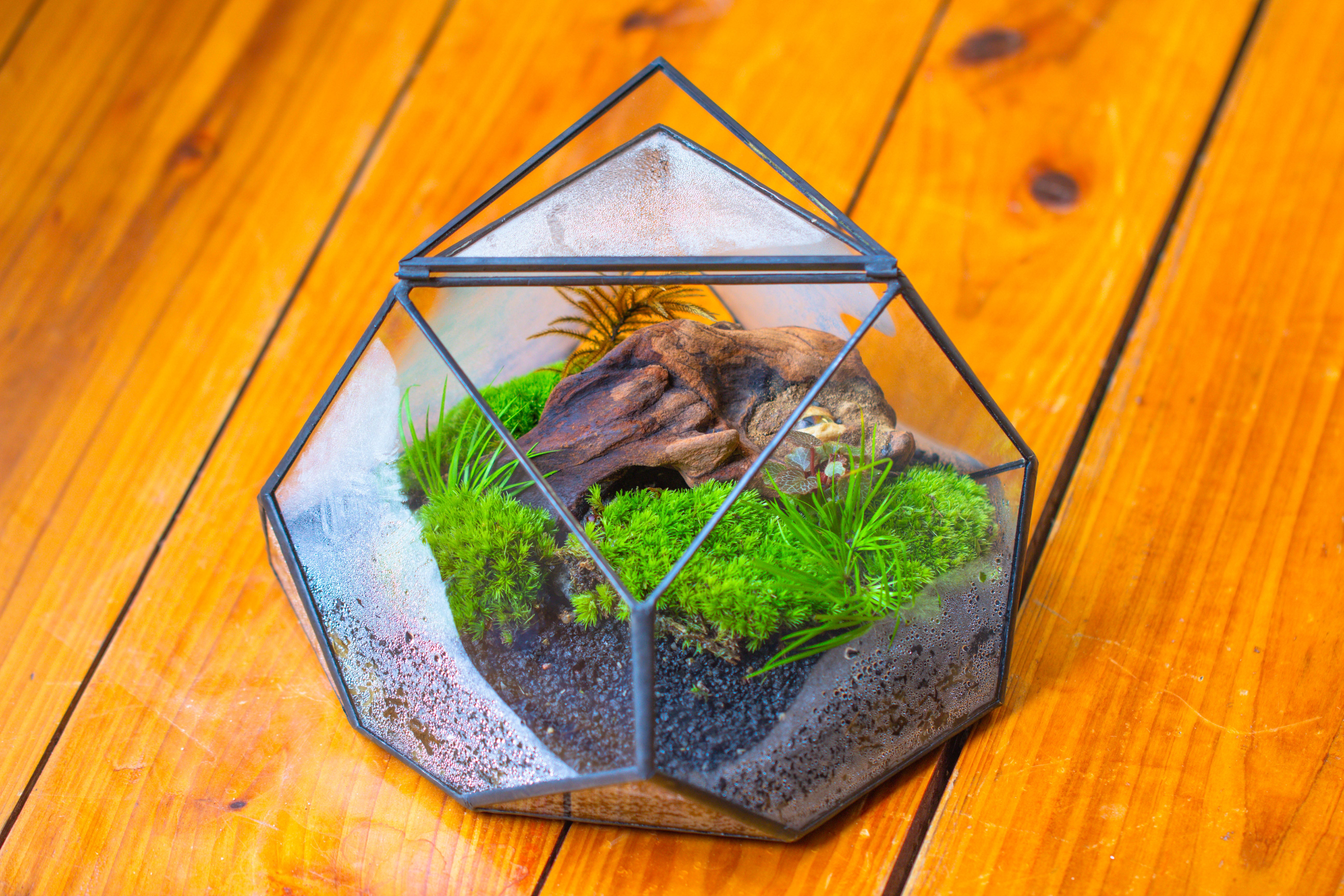 Geometric Terrarium Irregular, handmade,Tin and Glass - NCYPgarden