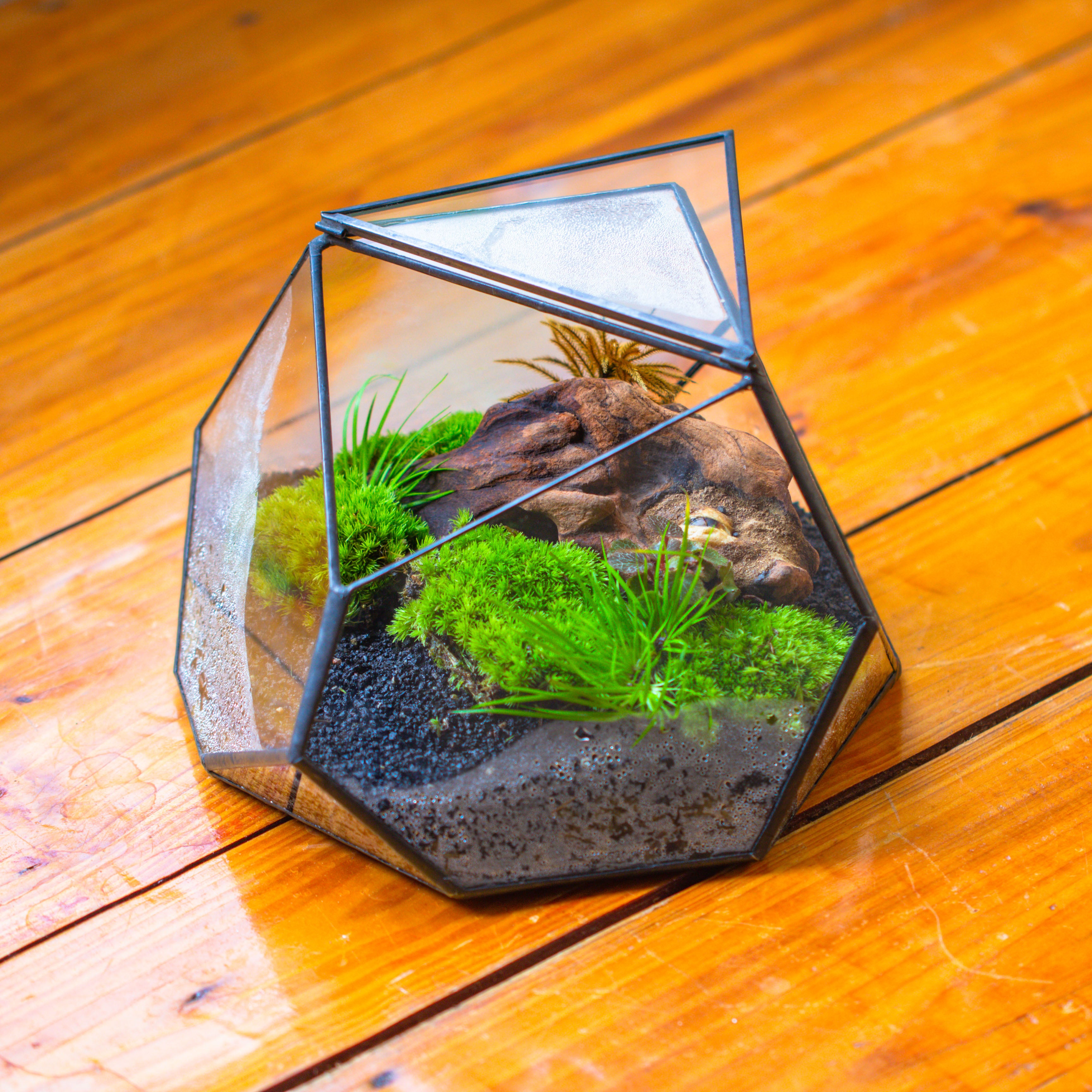 Geometric Terrarium Irregular, handmade,Tin and Glass - NCYPgarden