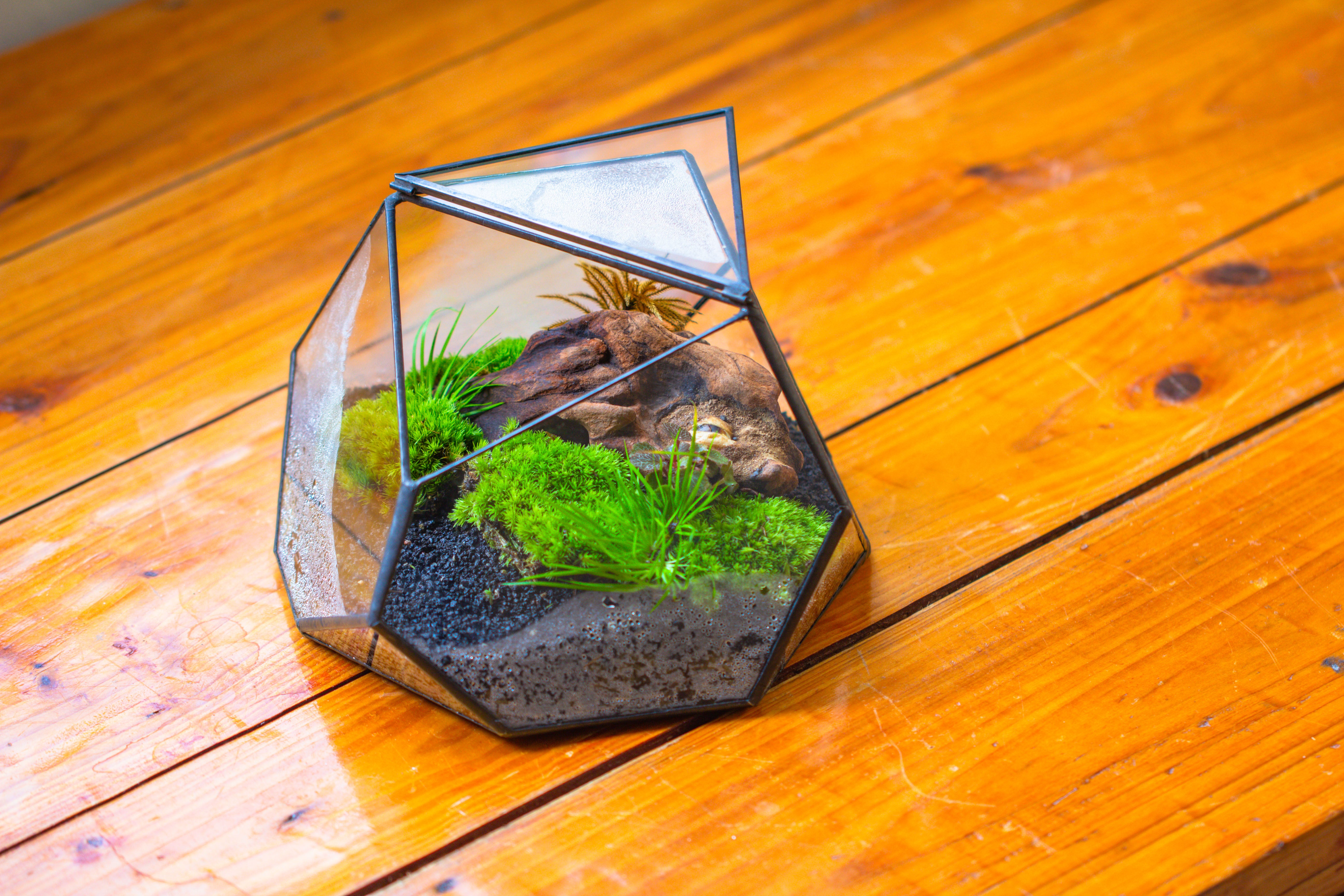 Geometric Terrarium Irregular, handmade,Tin and Glass - NCYPgarden