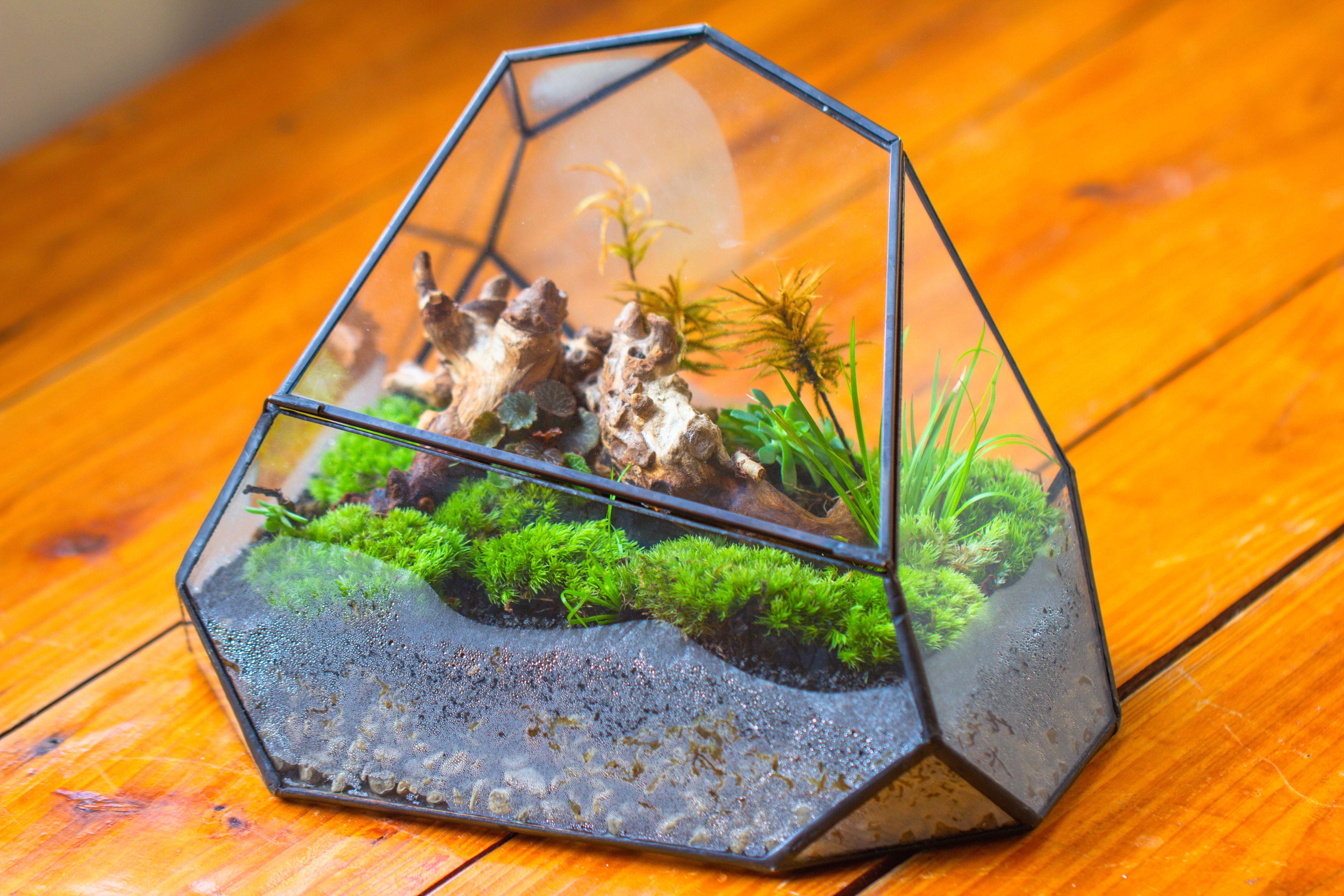 Irregular geometric rock shape glass and tin terrarium, for moss - NCYPgarden