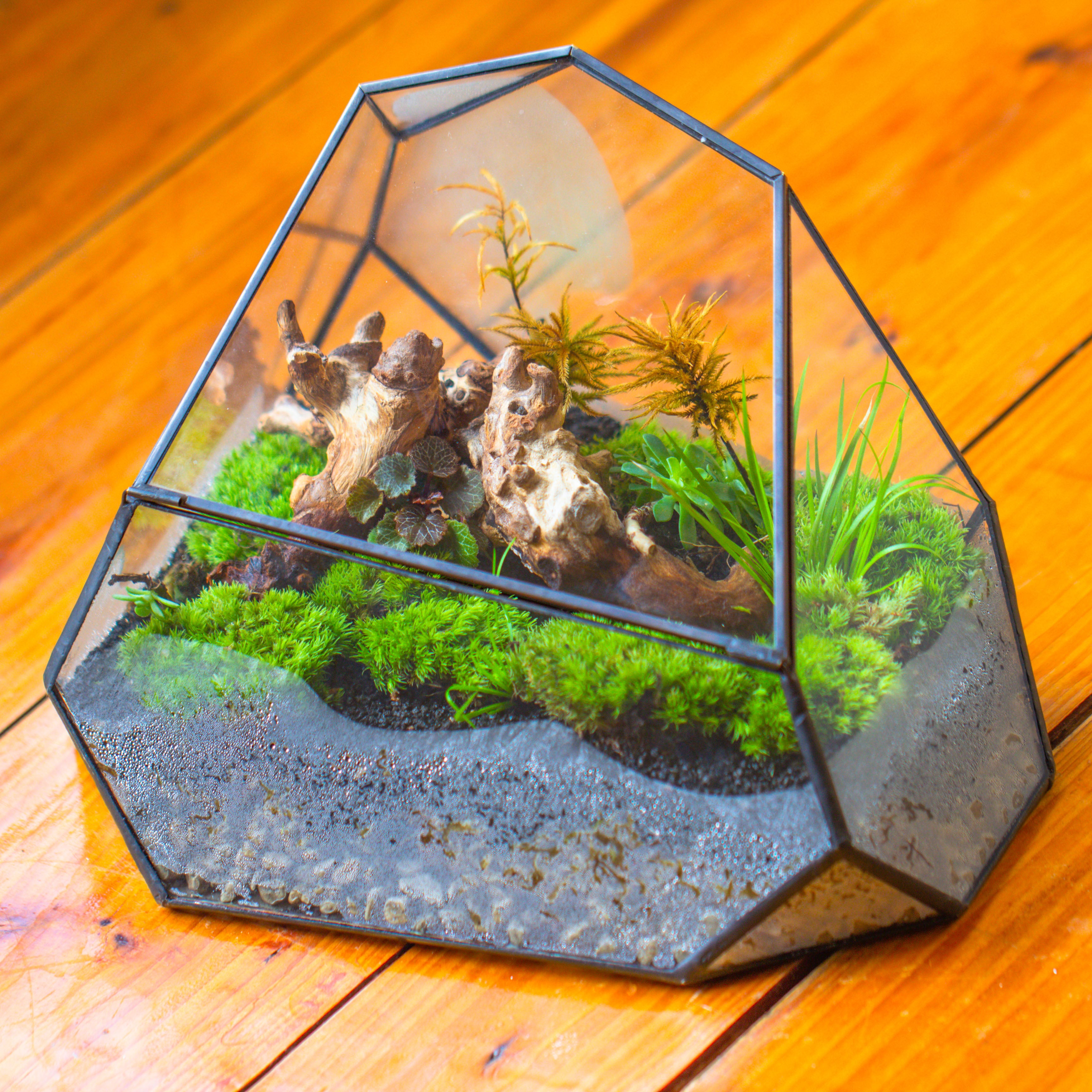 Irregular geometric rock shape glass and tin terrarium, for moss - NCYPgarden