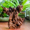 Copy of Natural driftwood for moss terrarium, miniature, micro landscape, unique  10-19, suitable for both live and preserved moss - NCYPgarden