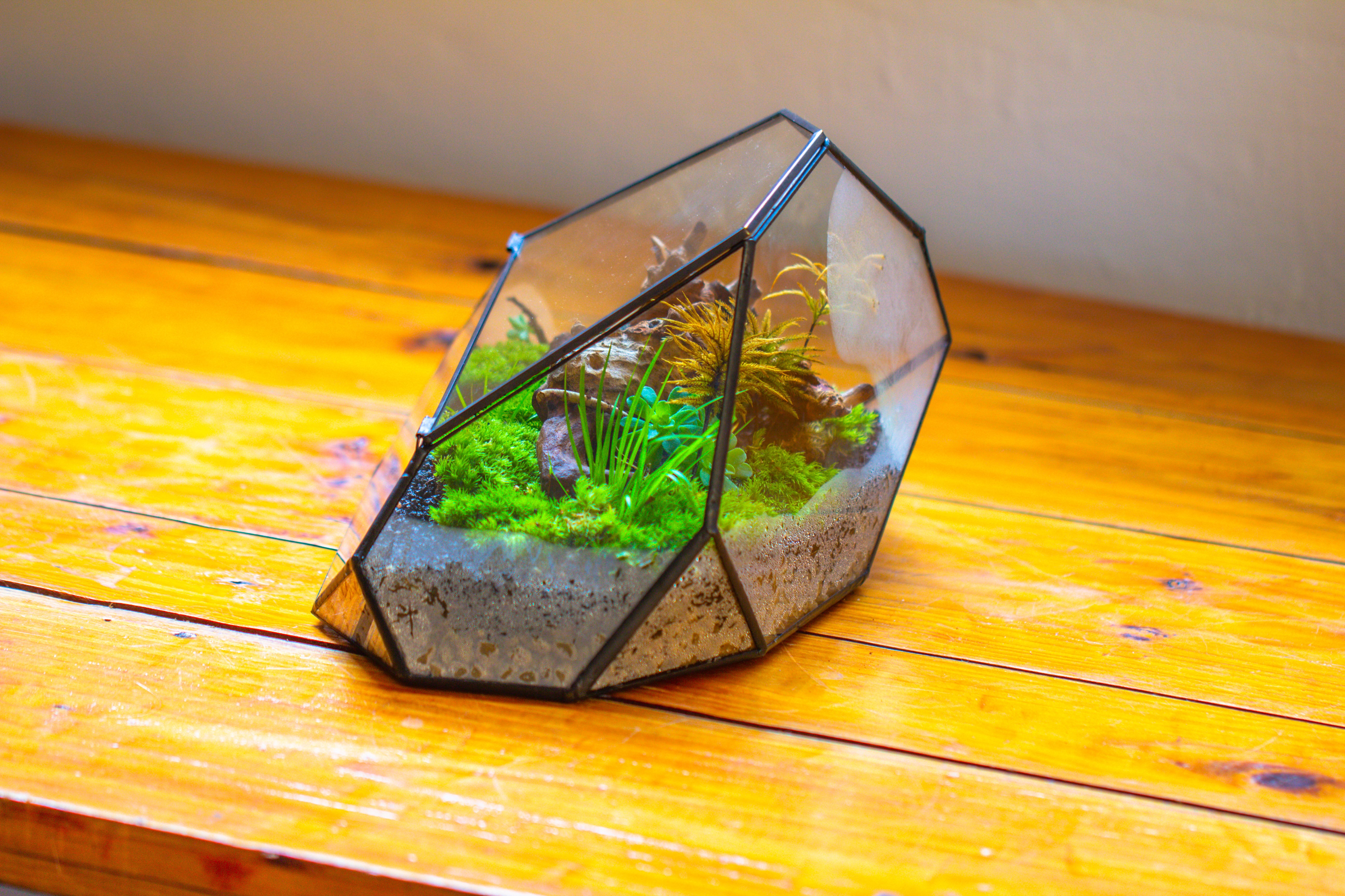 Irregular geometric rock shape glass and tin terrarium, for moss - NCYPgarden
