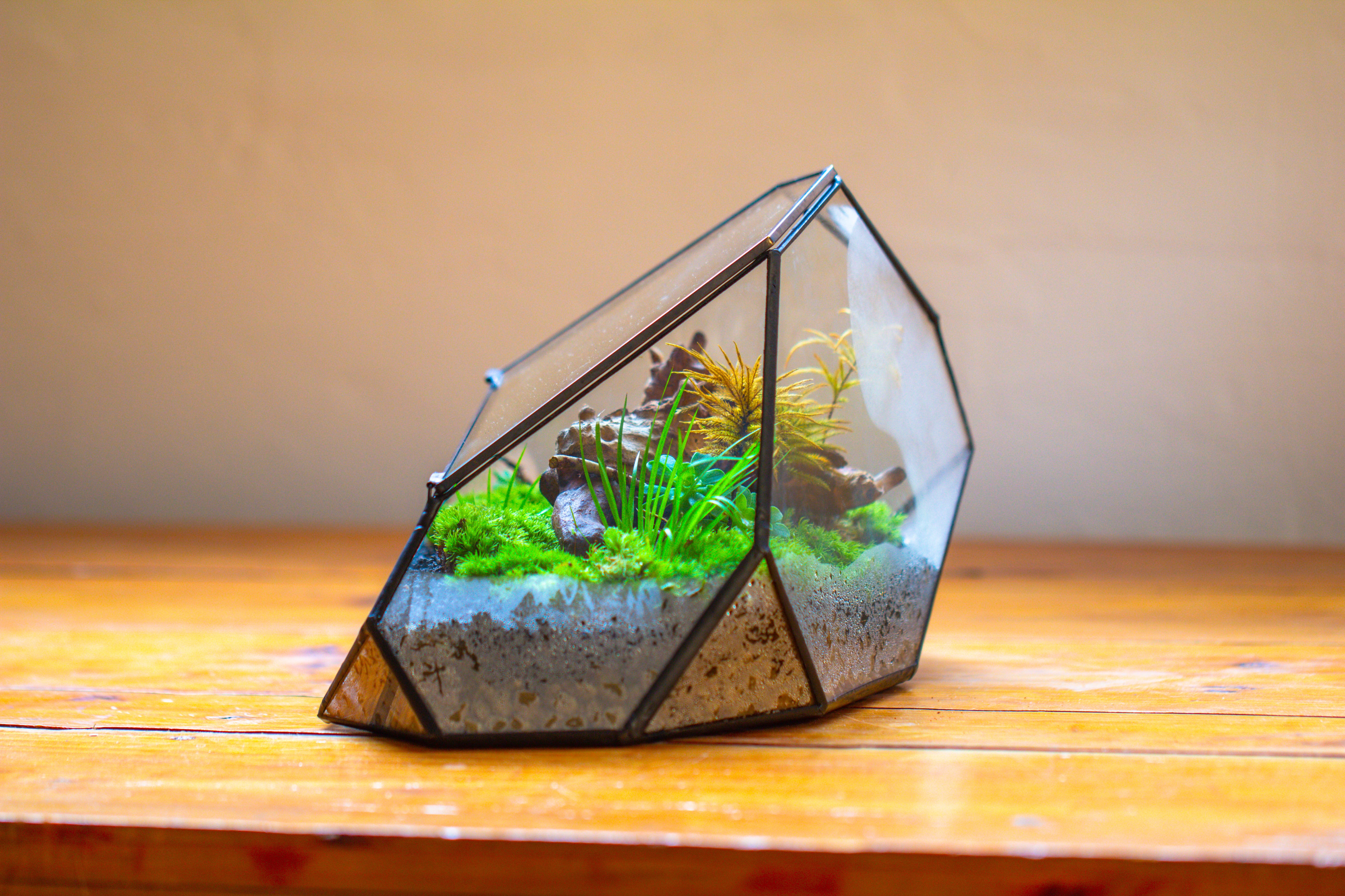 Irregular geometric rock shape glass and tin terrarium, for moss - NCYPgarden