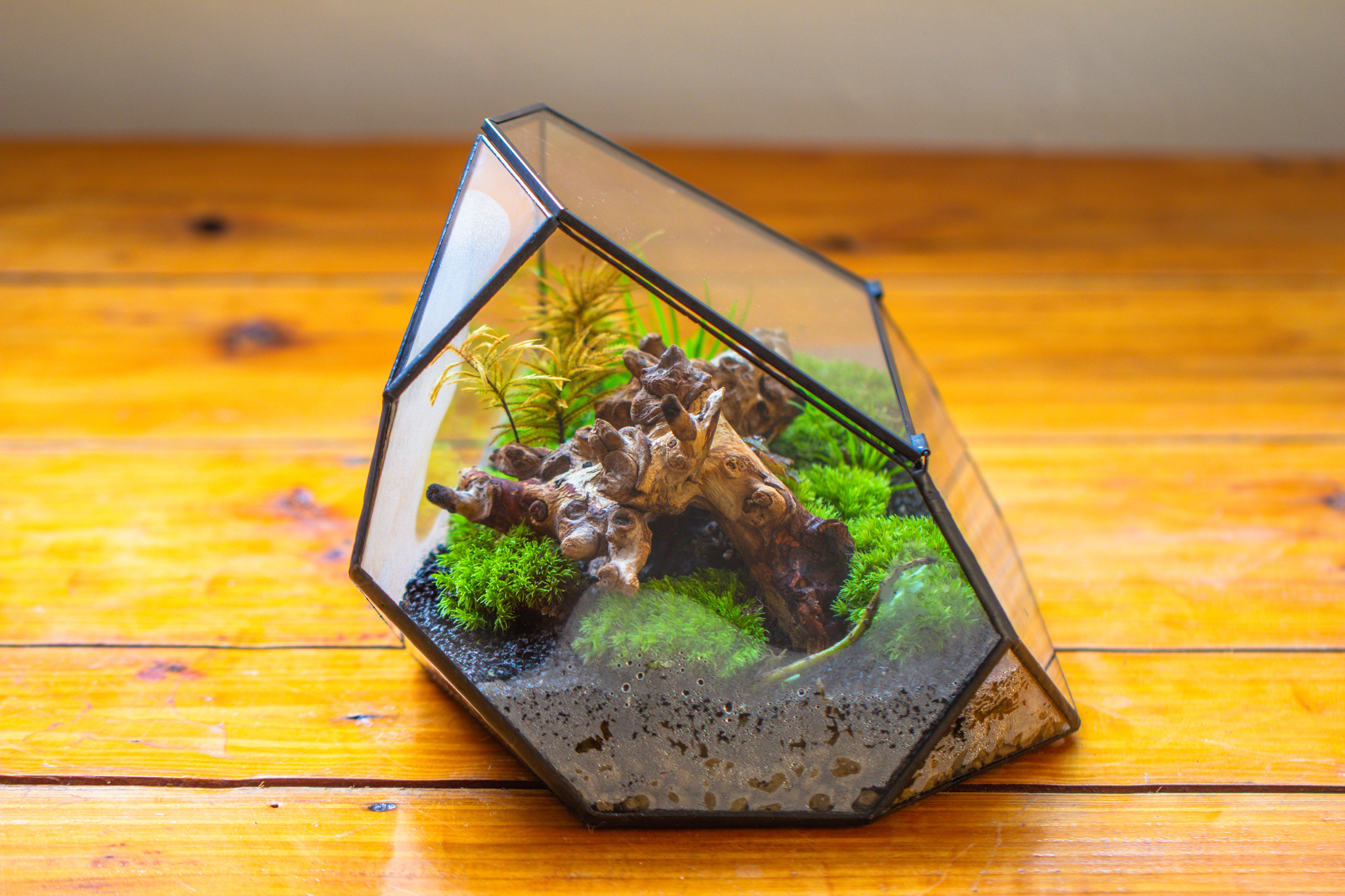 Irregular geometric rock shape glass and tin terrarium, for moss - NCYPgarden