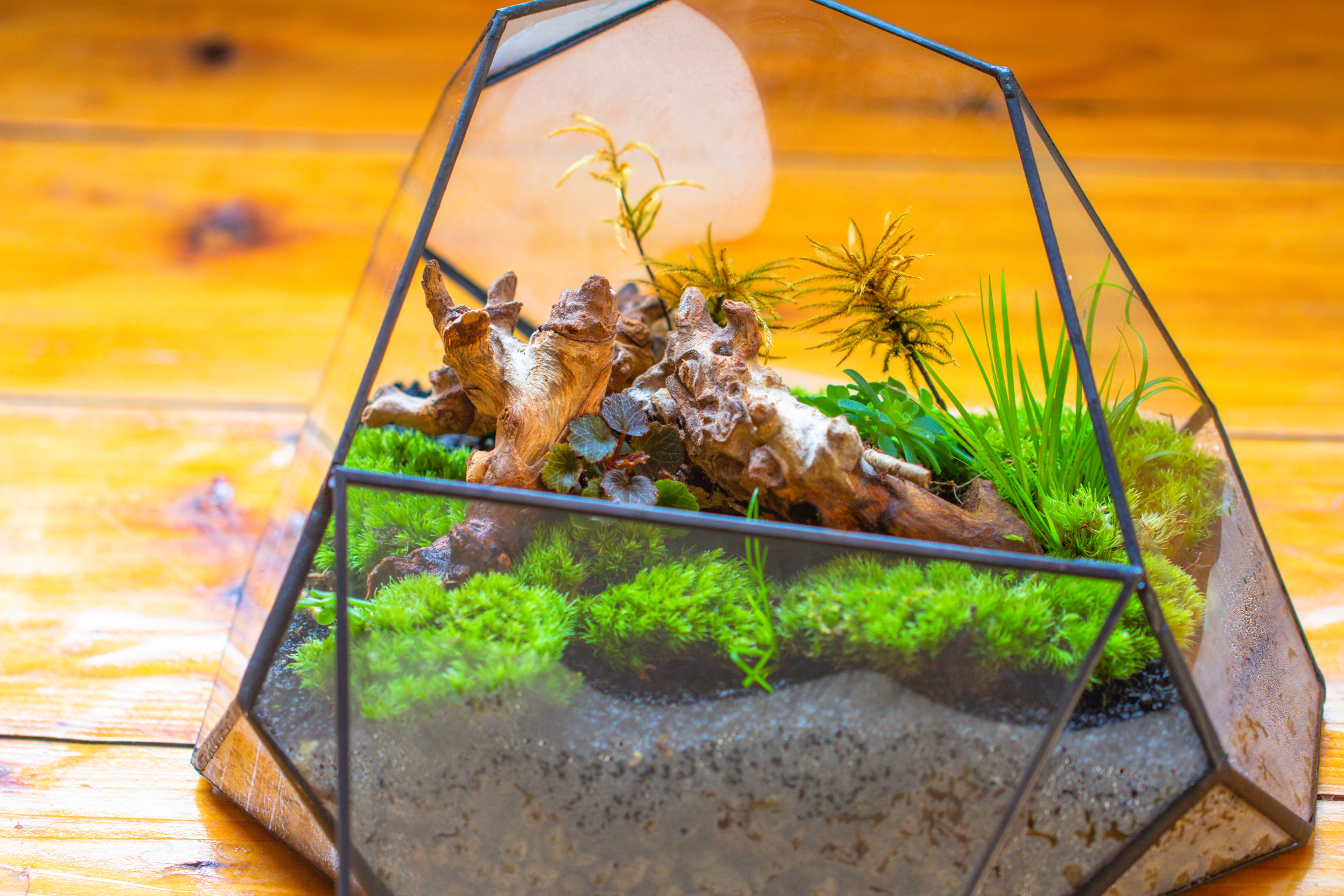 Irregular geometric rock shape glass and tin terrarium, for moss - NCYPgarden