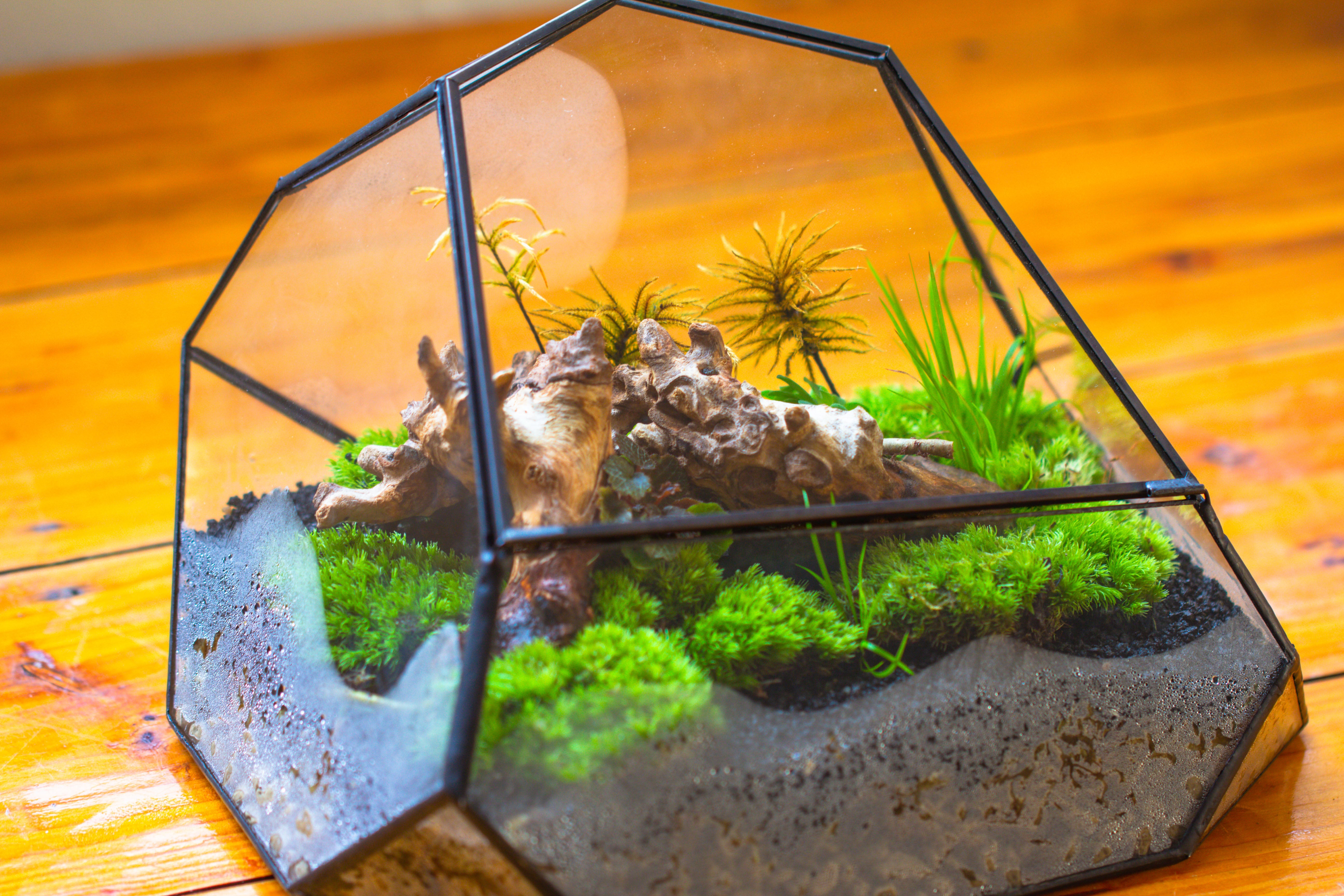 Irregular geometric rock shape glass and tin terrarium, for moss - NCYPgarden