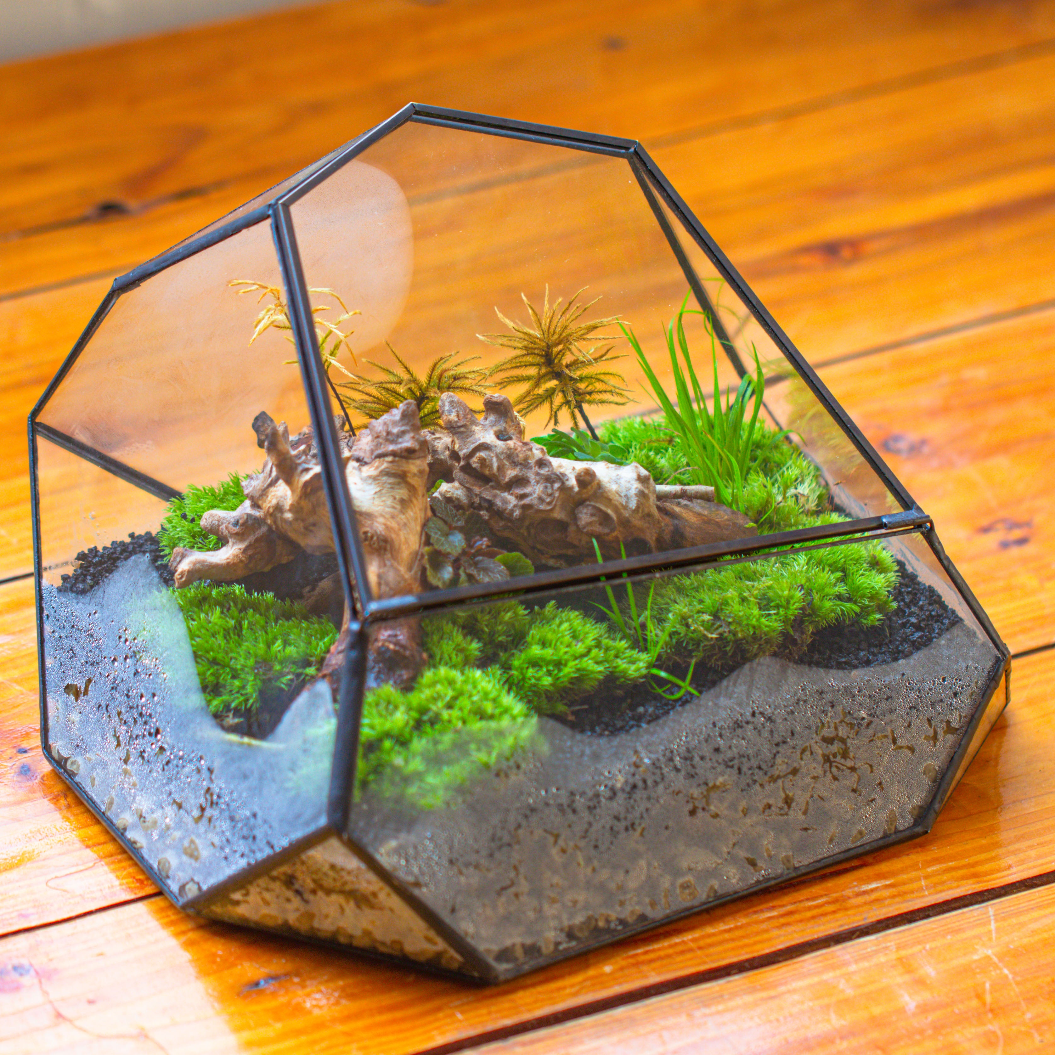 Irregular geometric rock shape glass and tin terrarium, for moss - NCYPgarden
