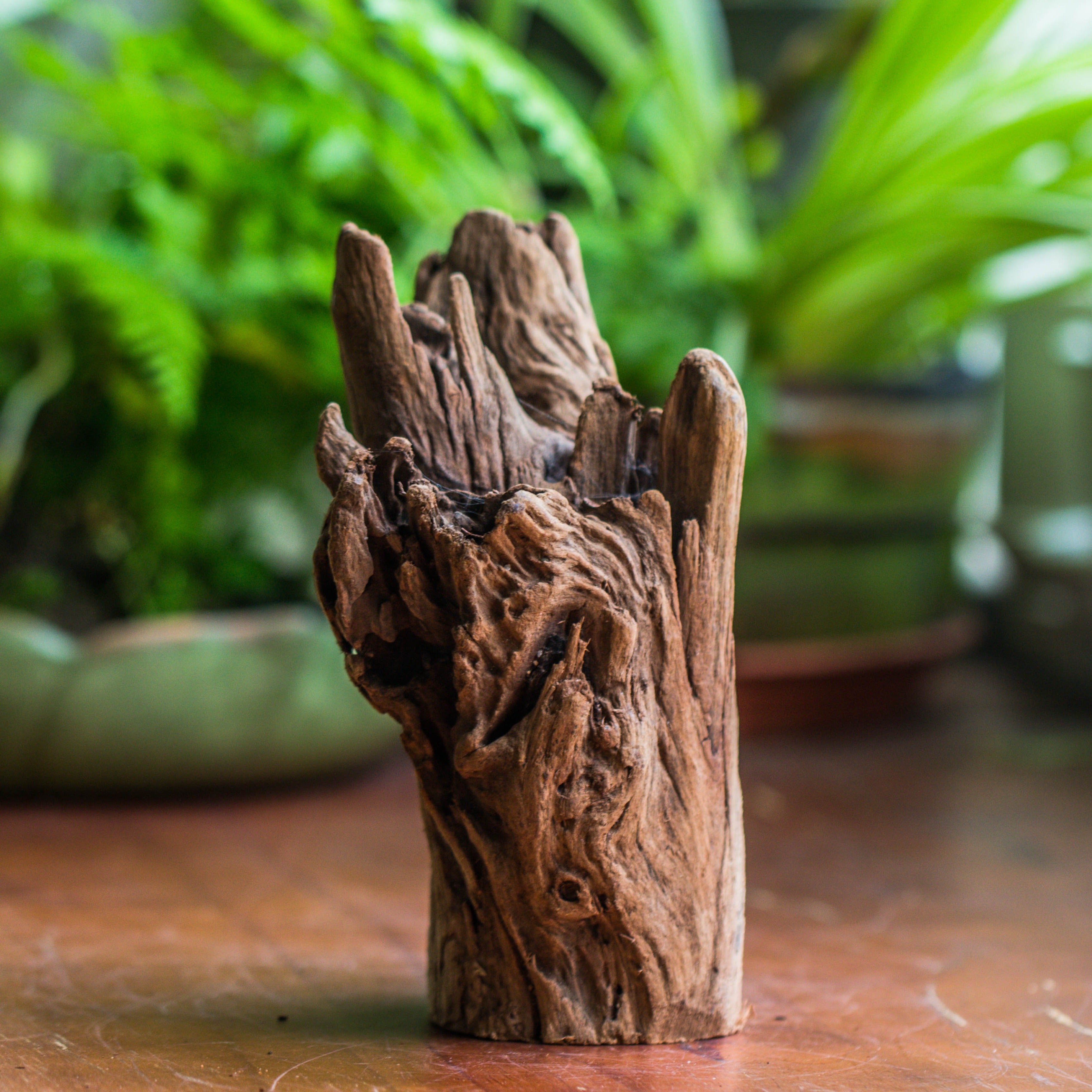 Copy of Natural driftwood for moss terrarium, miniature, micro landscape, unique  10-17, suitable for both live and preserved moss - NCYPgarden