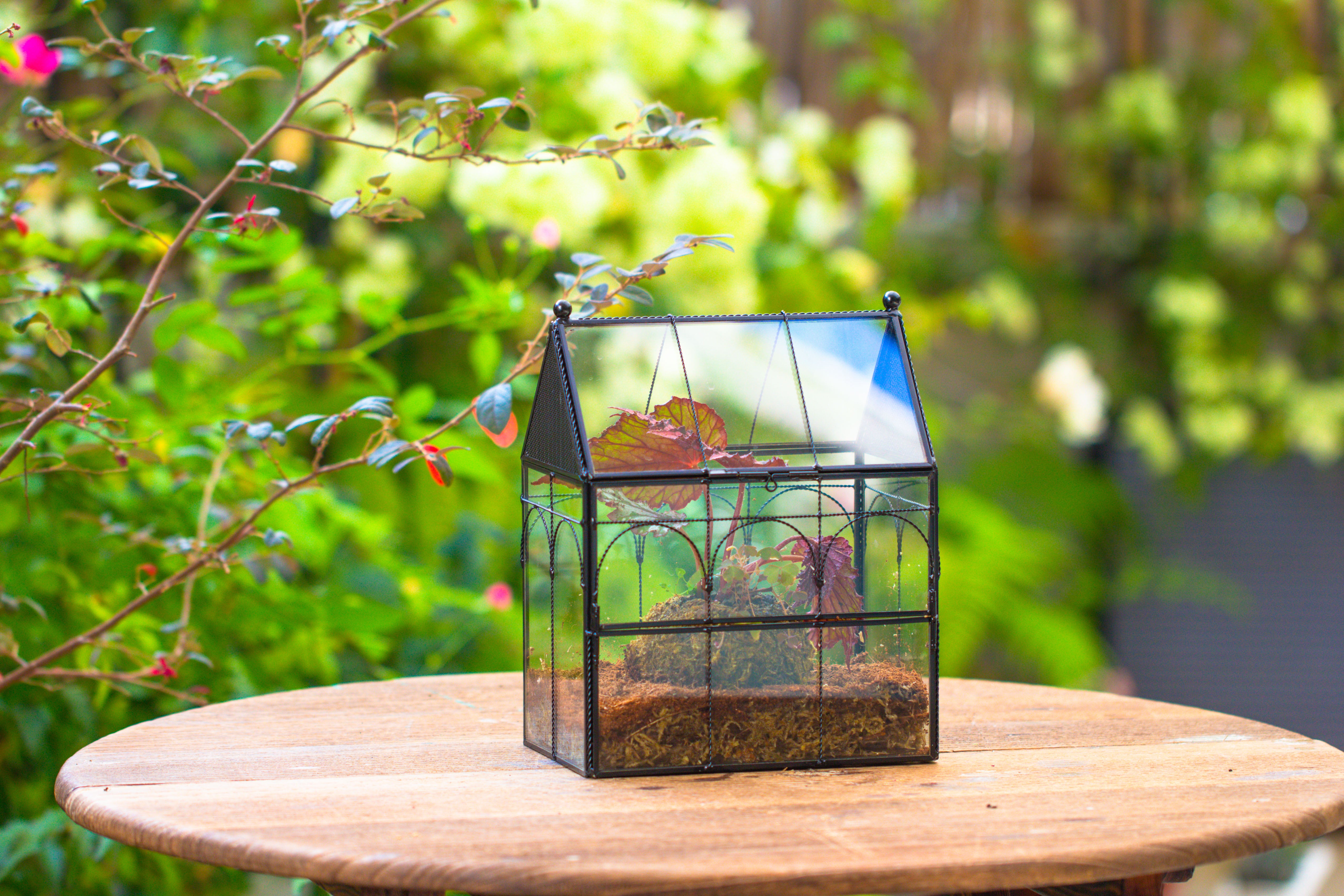 NCYP Vintage House Shape Glass Geometric Terrarium, with side door, with Mesh vent holes for small Insects Pet - NCYPgarden