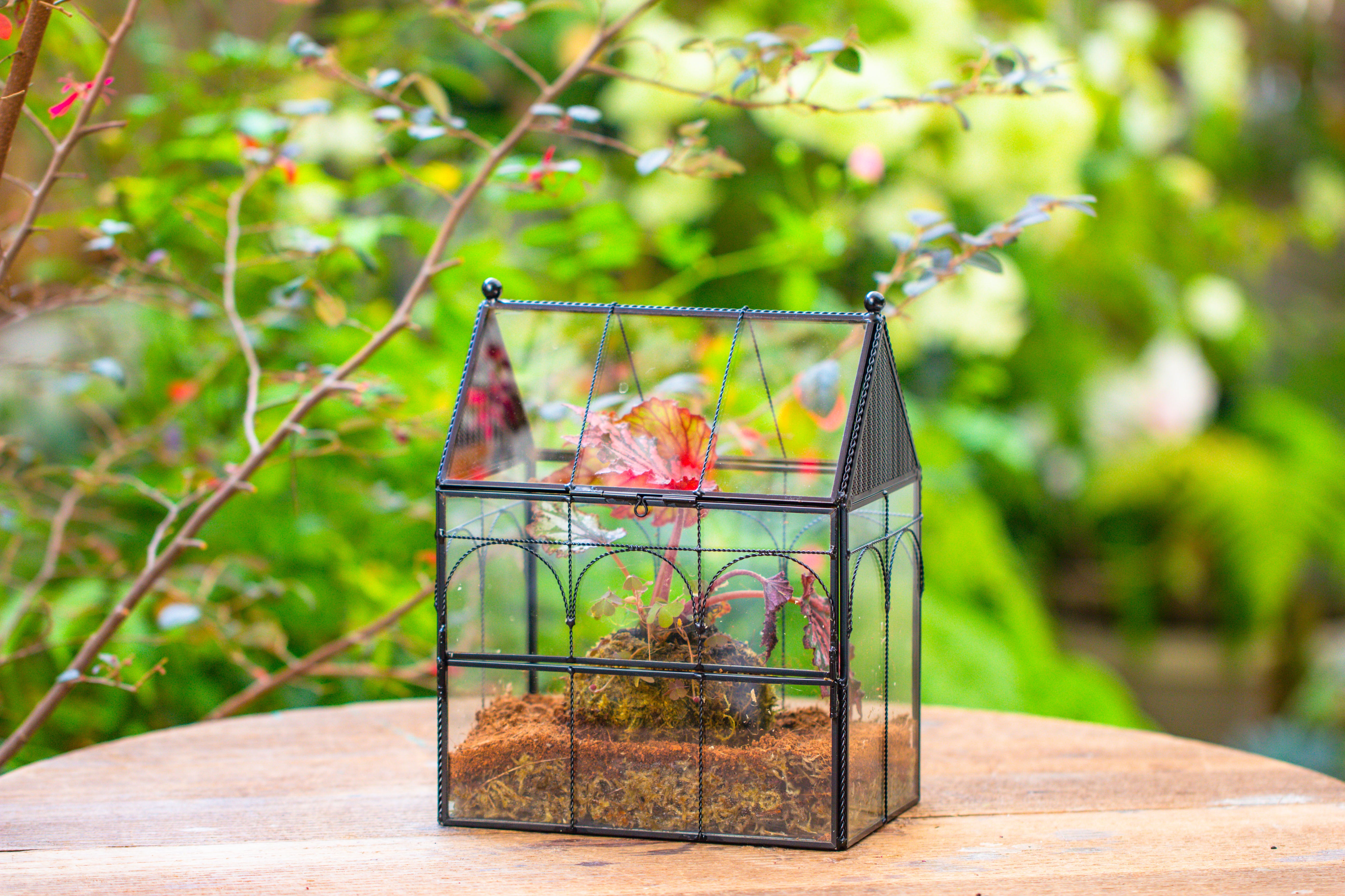 NCYP Vintage House Shape Glass Geometric Terrarium, with side door, with Mesh vent holes for small Insects Pet - NCYPgarden