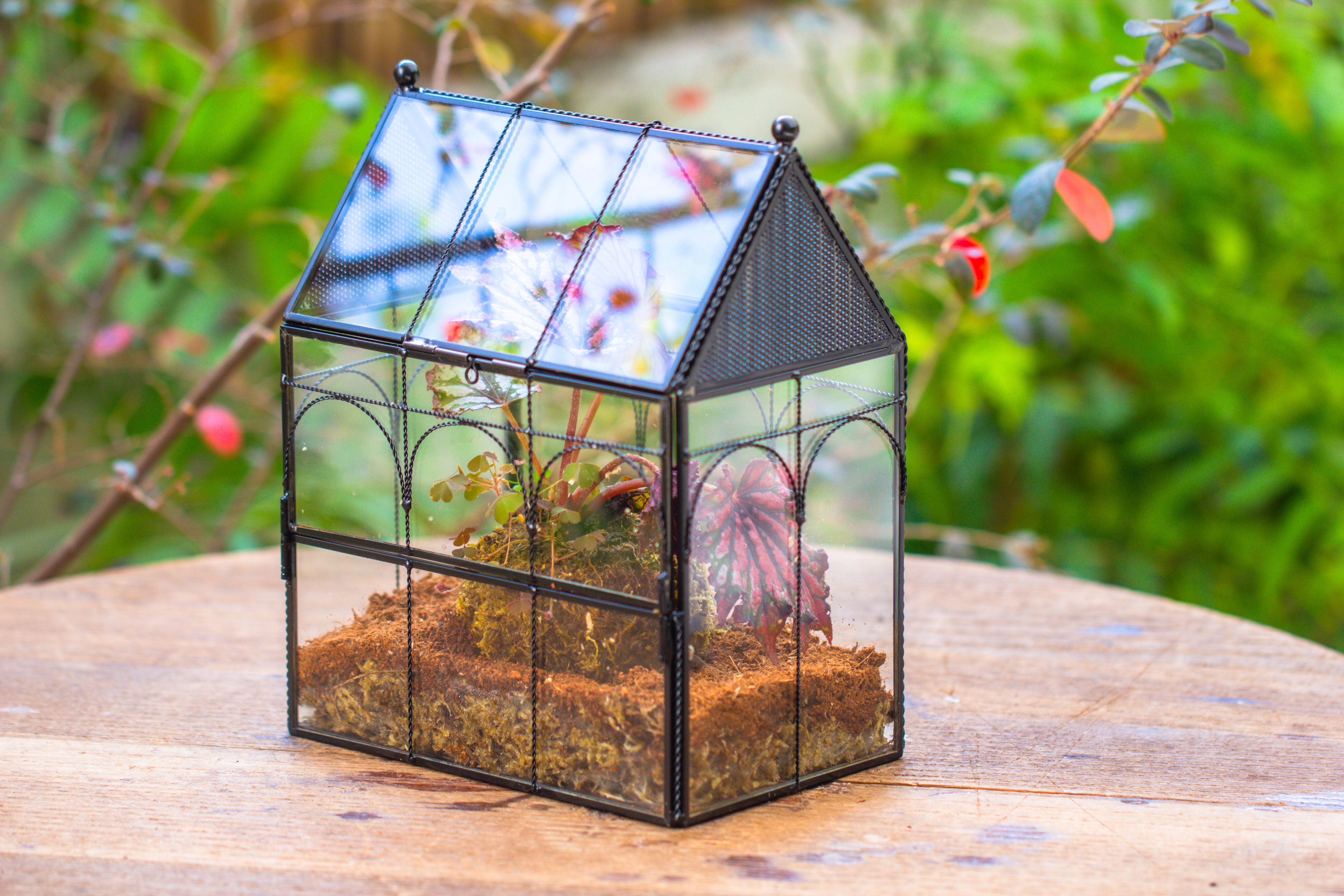 NCYP Vintage House Shape Glass Geometric Terrarium, with side door, with Mesh vent holes for small Insects Pet - NCYPgarden