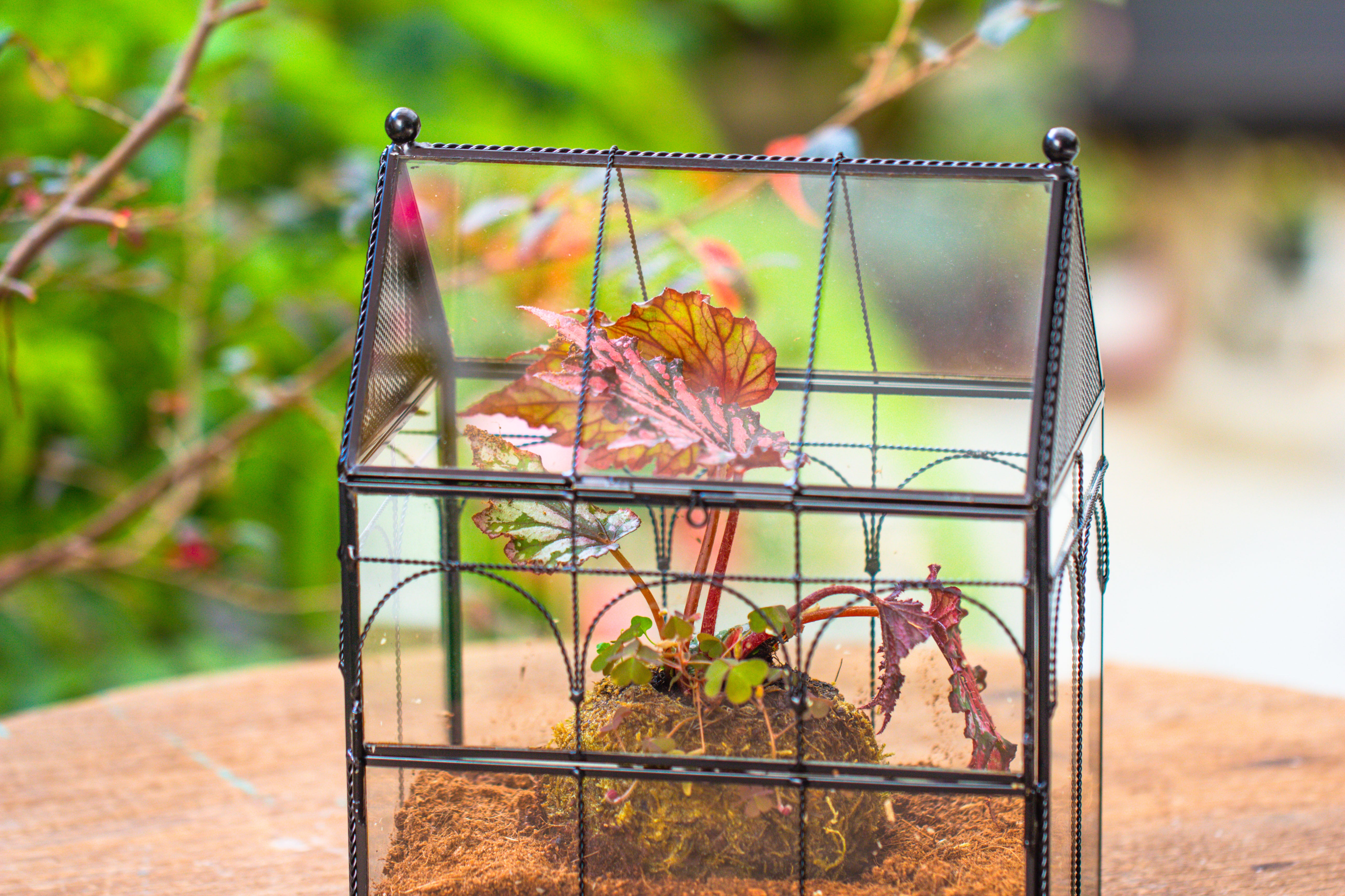 NCYP Vintage House Shape Glass Geometric Terrarium, with side door, with Mesh vent holes for small Insects Pet - NCYPgarden