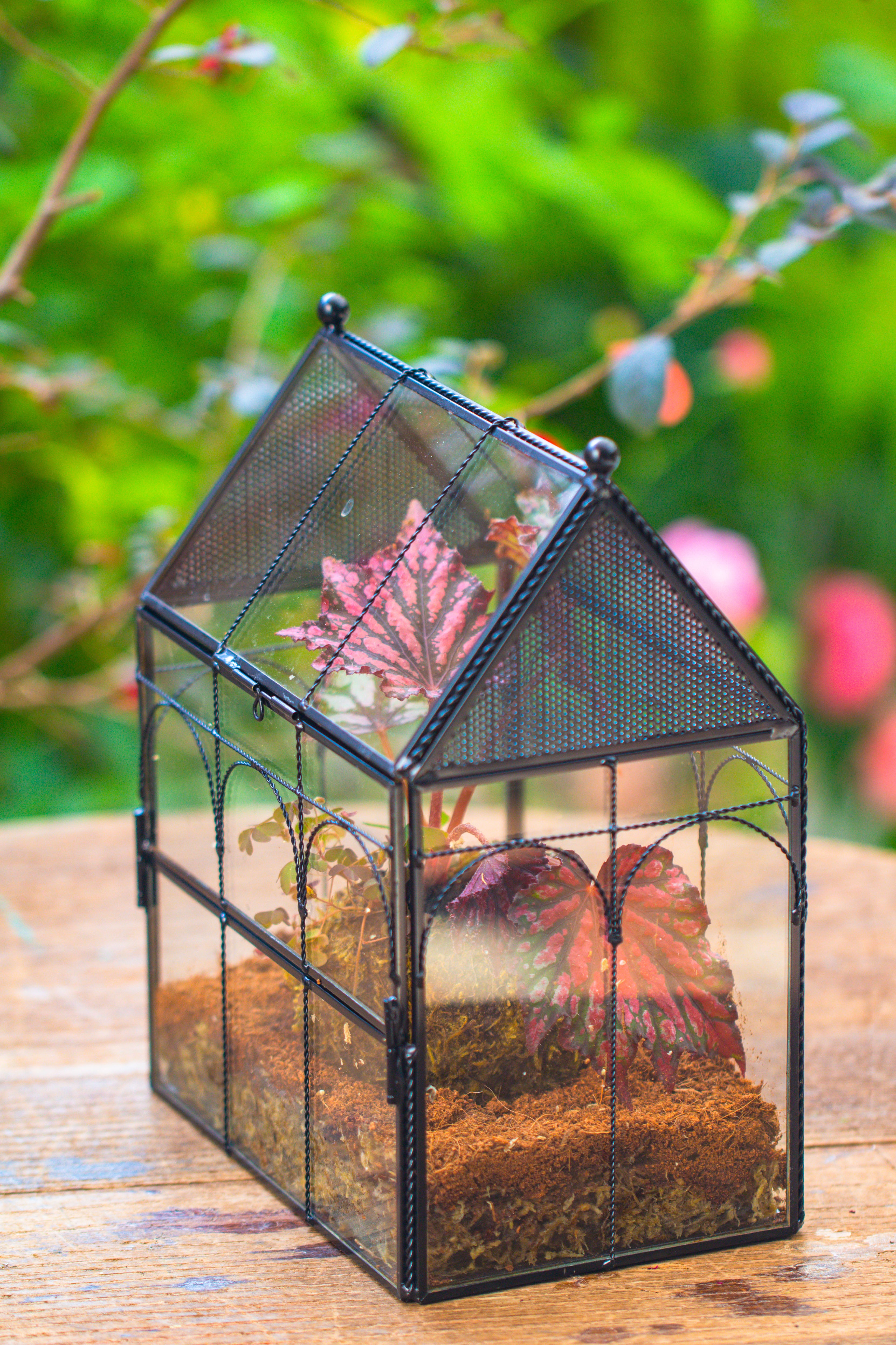 NCYP Vintage House Shape Glass Geometric Terrarium, with side door, with Mesh vent holes for small Insects Pet - NCYPgarden