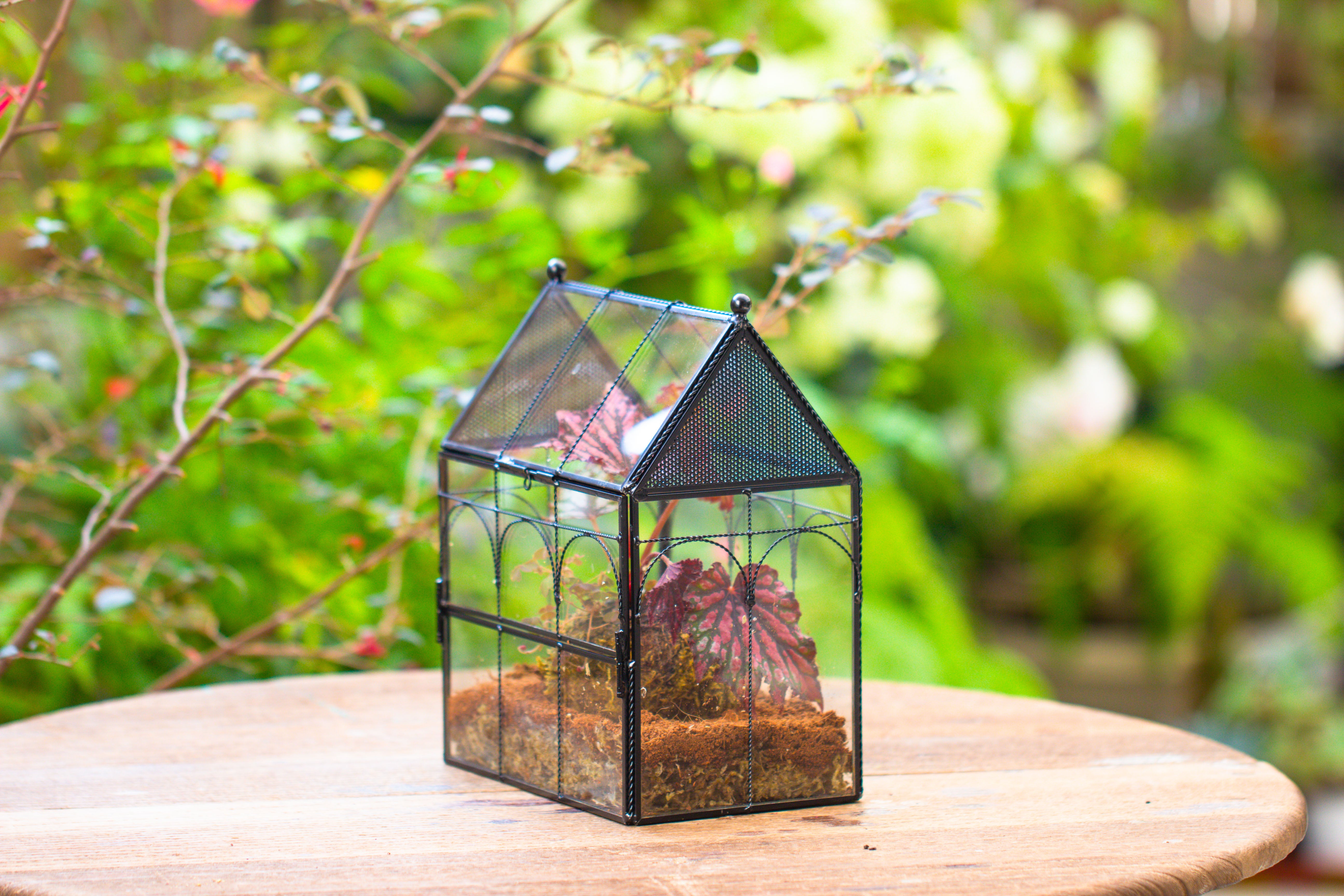 NCYP Vintage House Shape Glass Geometric Terrarium, with side door, with Mesh vent holes for small Insects Pet - NCYPgarden