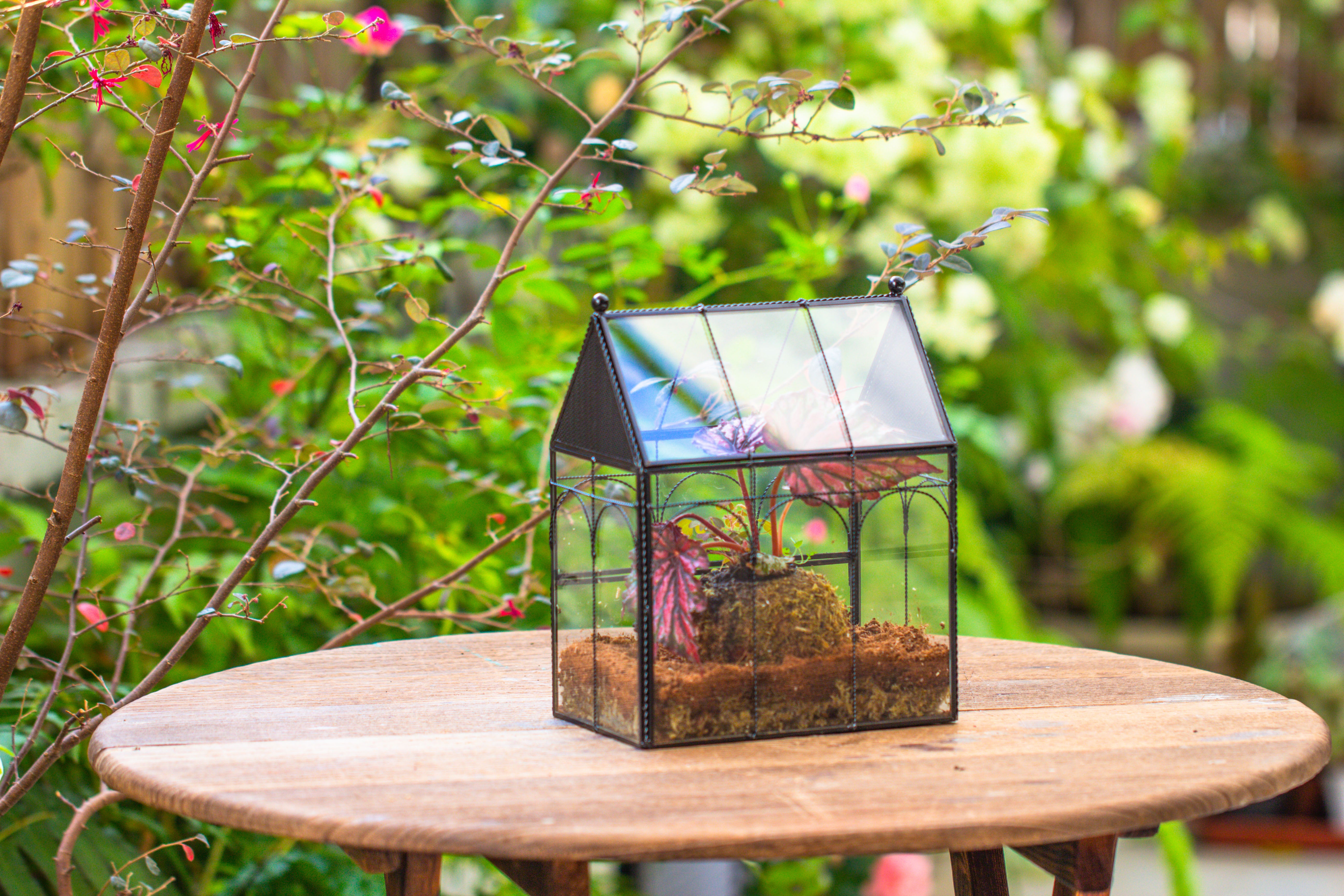 NCYP Vintage House Shape Glass Geometric Terrarium, with side door, with Mesh vent holes for small Insects Pet - NCYPgarden