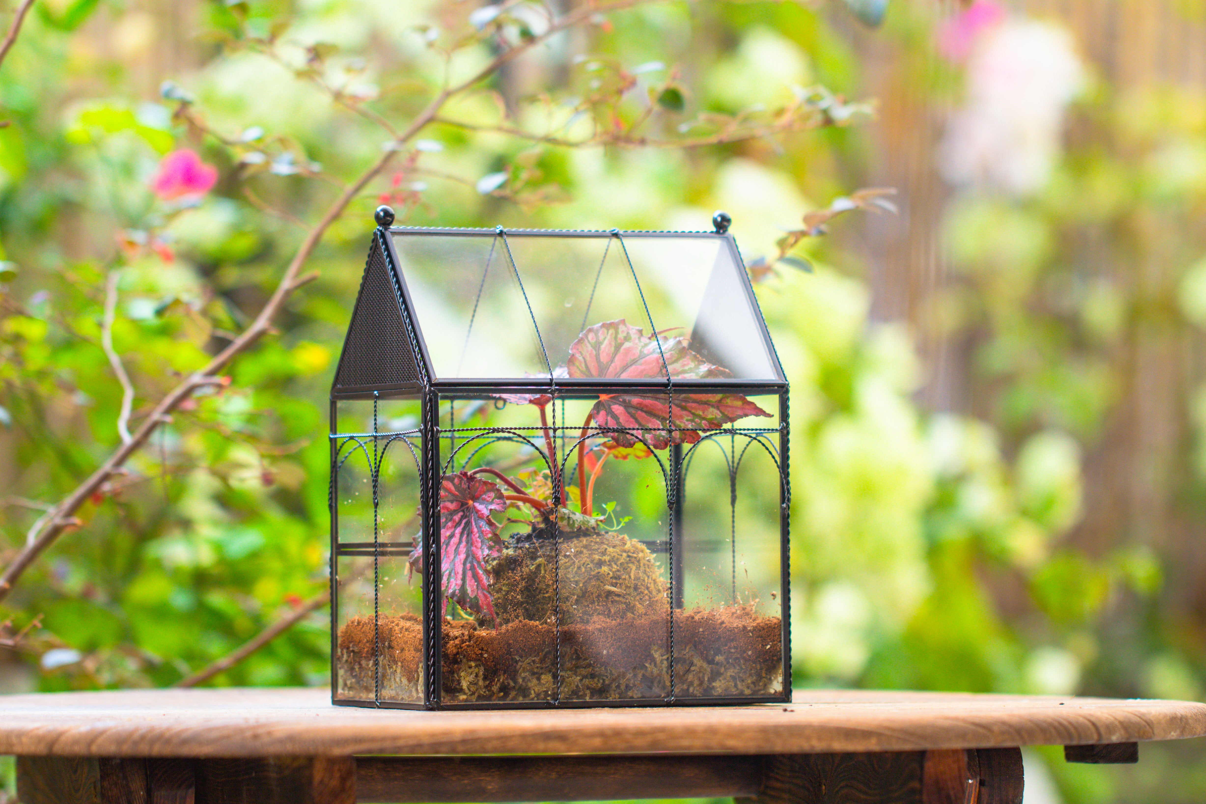 NCYP Vintage House Shape Glass Geometric Terrarium, with side door, with Mesh vent holes for small Insects Pet - NCYPgarden