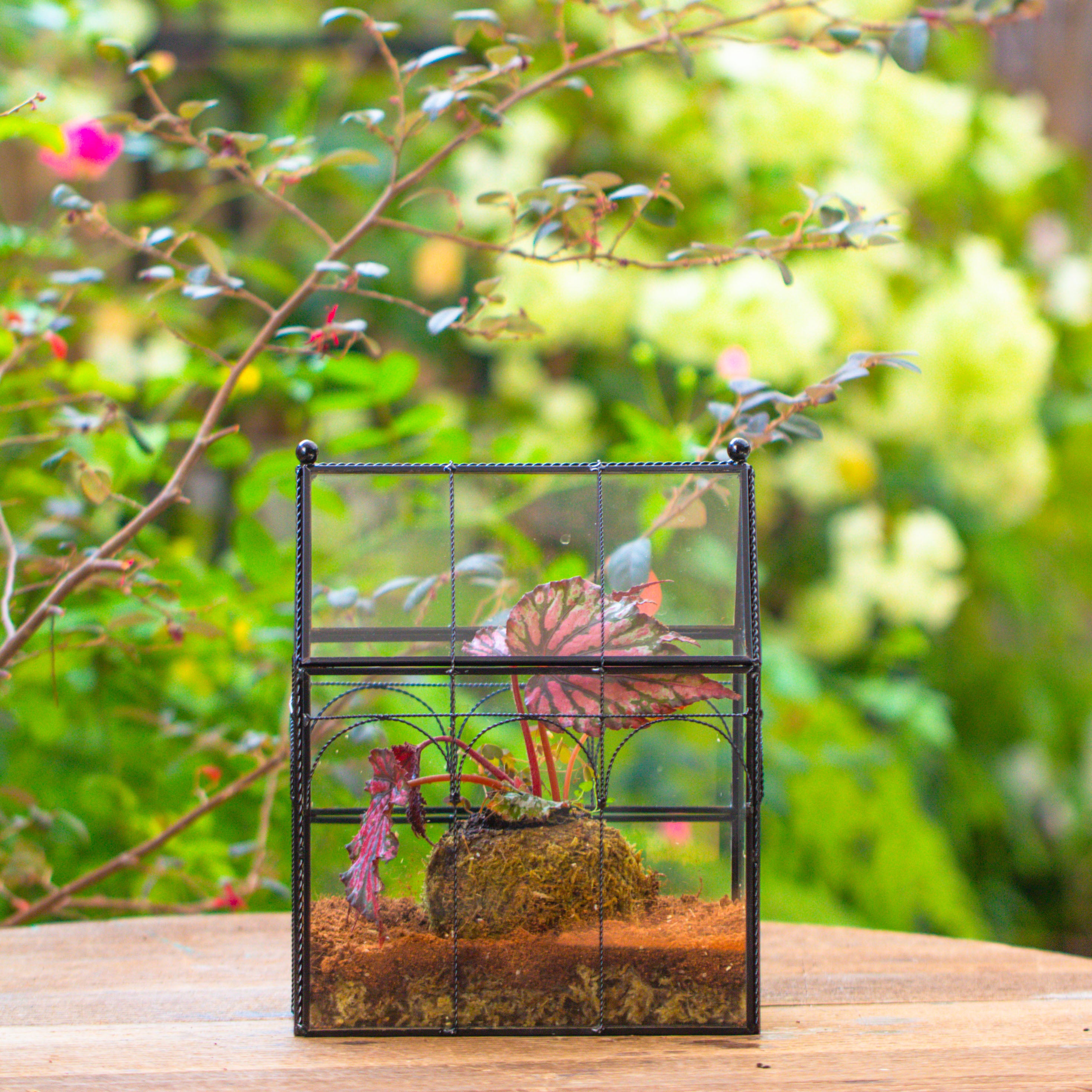 NCYP Vintage House Shape Glass Geometric Terrarium, with side door, with Mesh vent holes for small Insects Pet - NCYPgarden