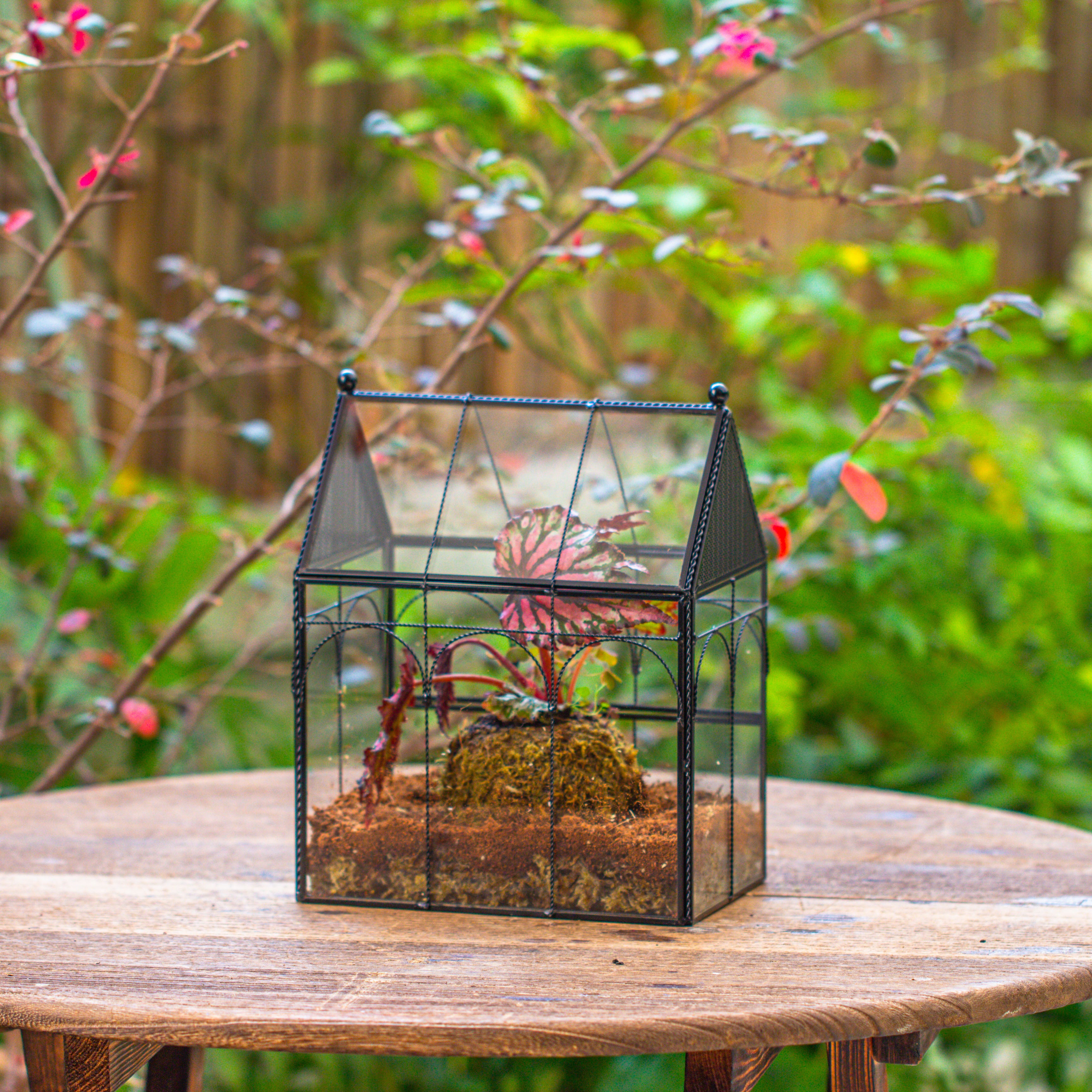 NCYP Vintage House Shape Glass Geometric Terrarium, with side door, with Mesh vent holes for small Insects Pet - NCYPgarden