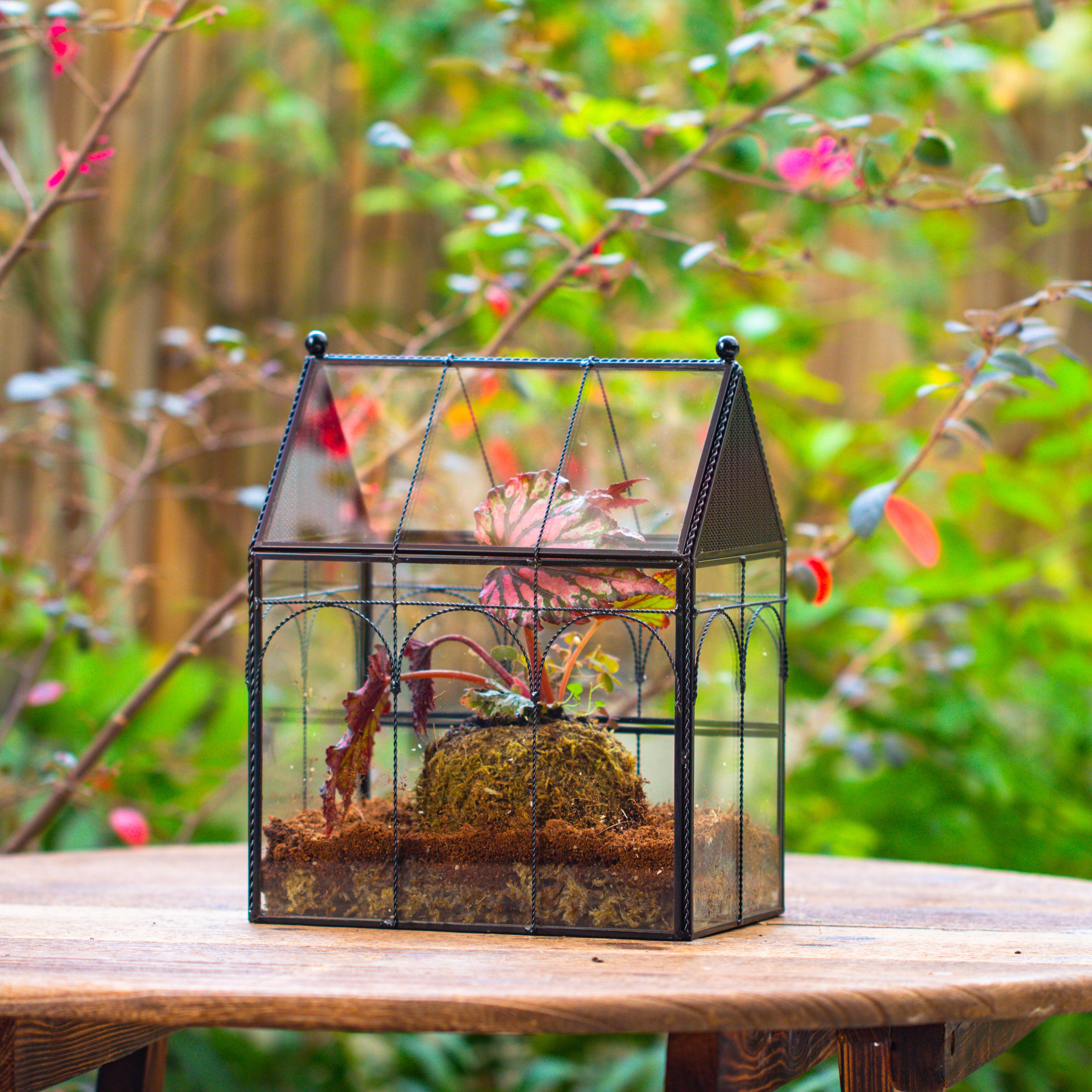 NCYP Vintage House Shape Glass Geometric Terrarium, with side door, with Mesh vent holes for small Insects Pet - NCYPgarden