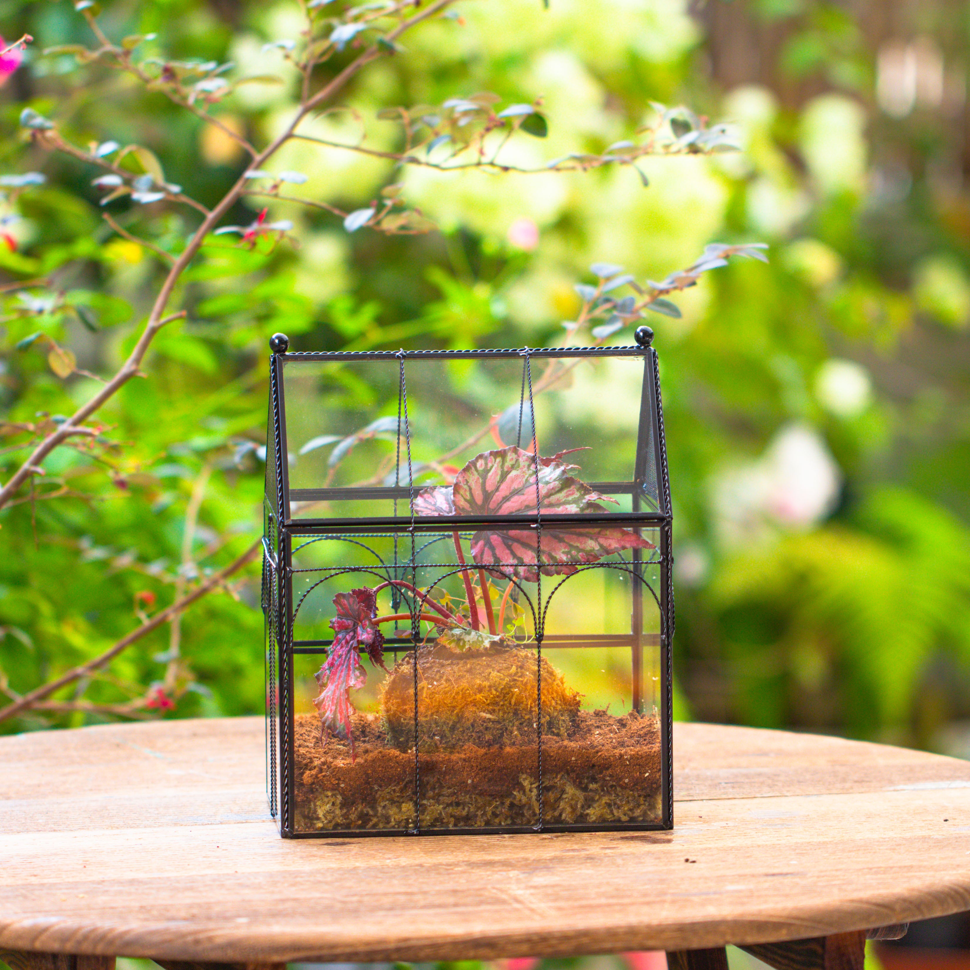 NCYP Vintage House Shape Glass Geometric Terrarium, with side door, with Mesh vent holes for small Insects Pet - NCYPgarden