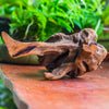 Copy of Natural driftwood for moss terrarium, miniature, micro landscape, unique  10-42, suitable for both live and preserved moss - NCYPgarden