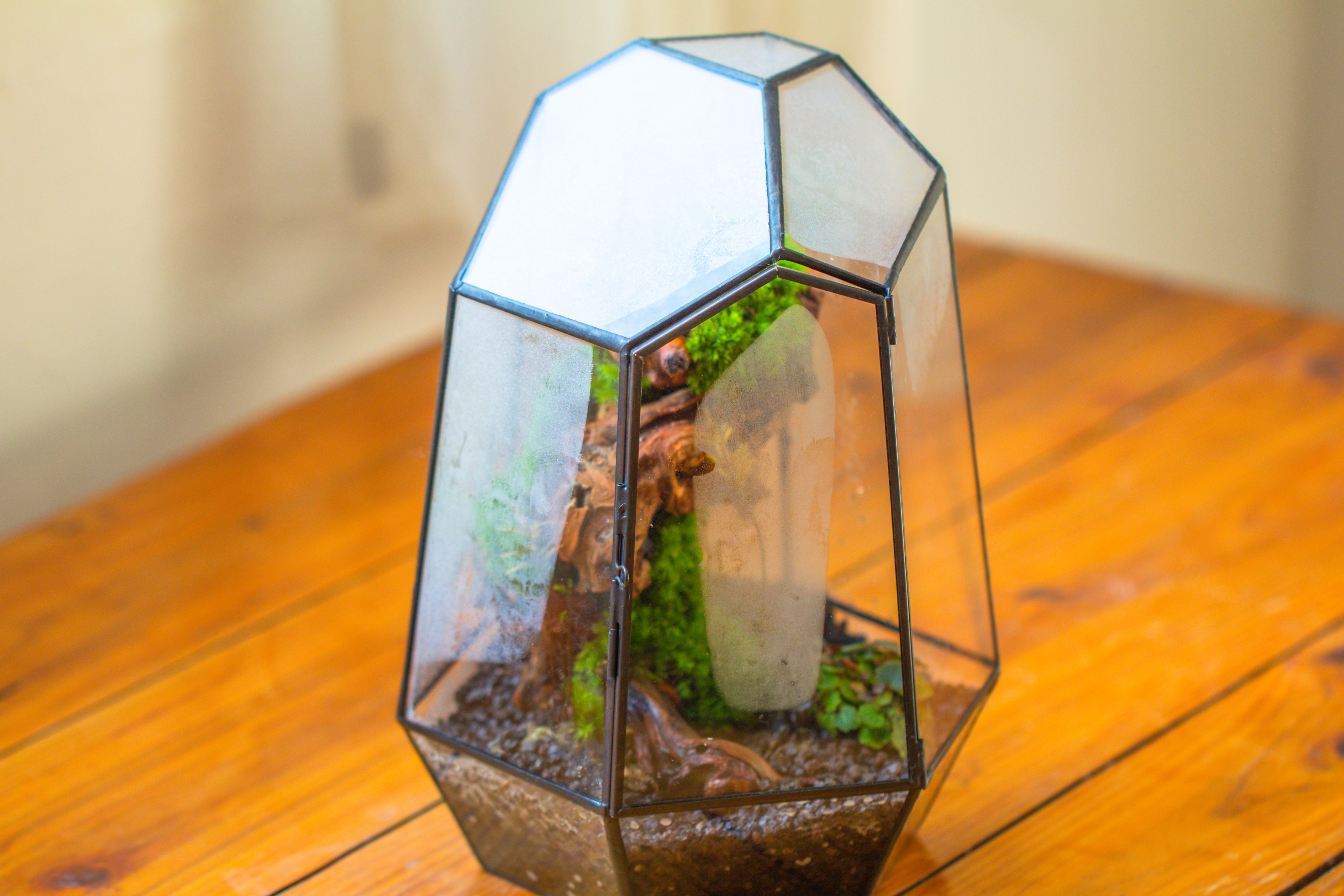 NCYP Large Close Geometric Glass Terrarium with Door, Tin Sealed Irregular Tall Planter for moss Flower Pot - NCYPgarden