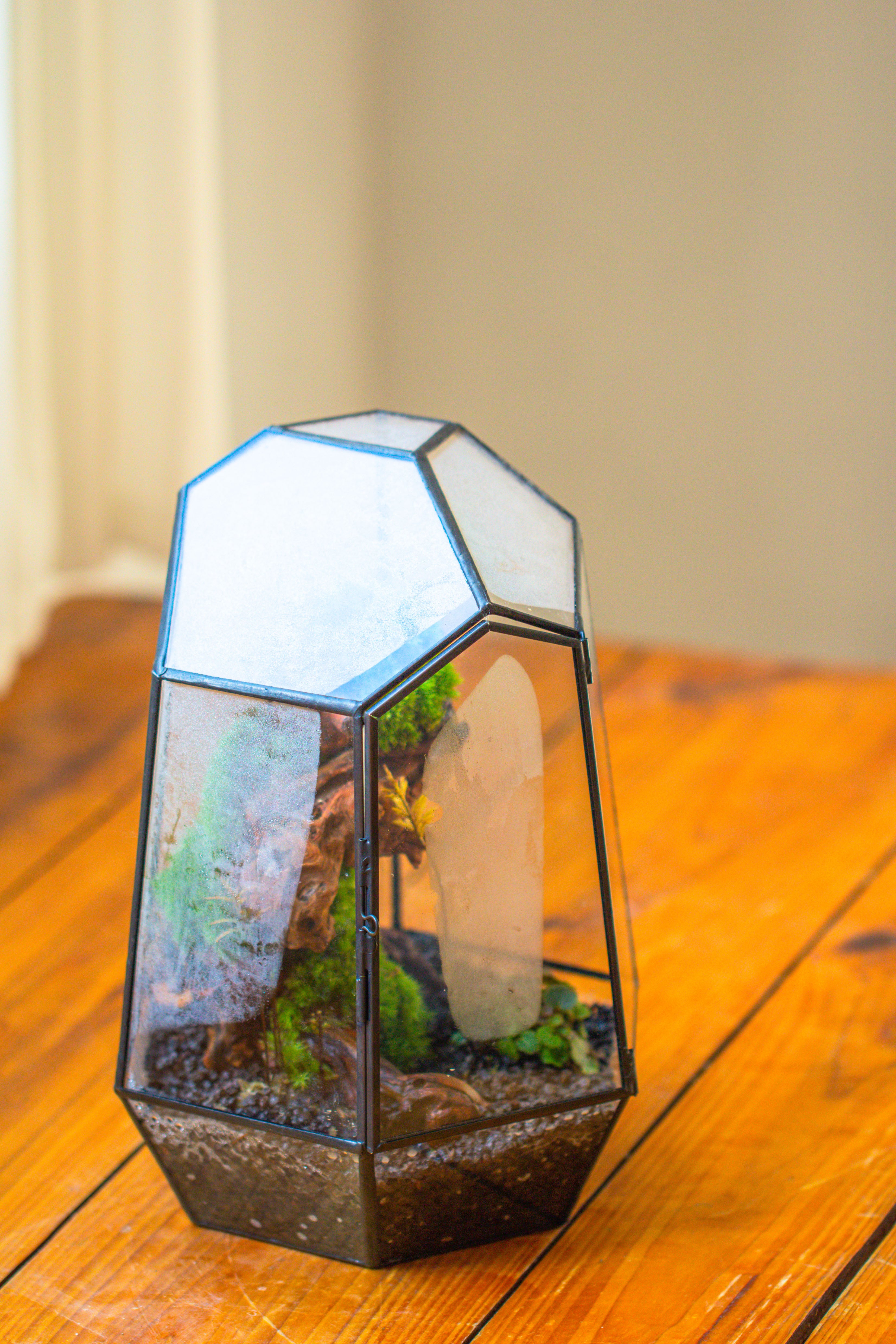 NCYP Large Close Geometric Glass Terrarium with Door, Tin Sealed Irregular Tall Planter for moss Flower Pot - NCYPgarden