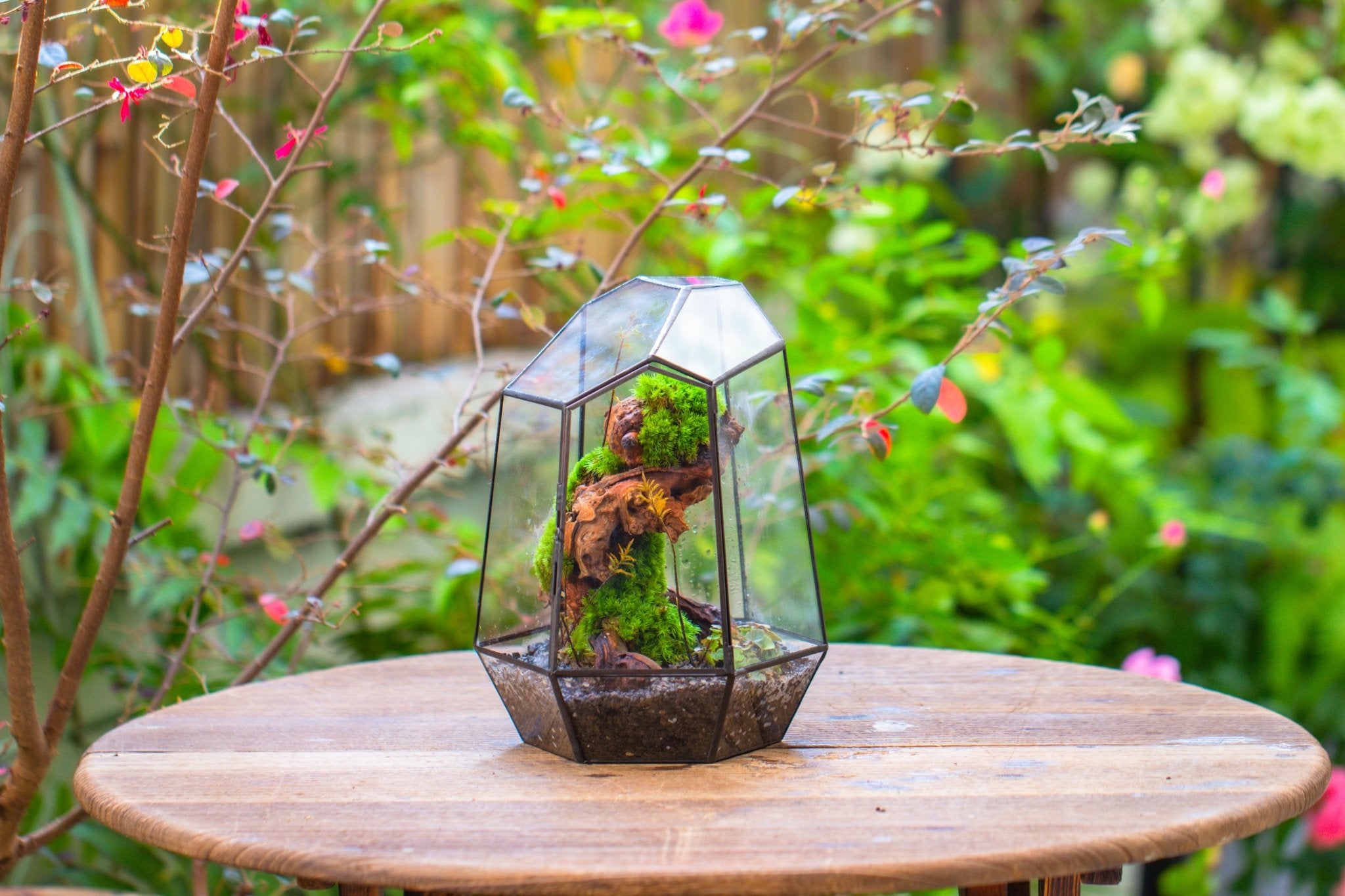 NCYP Geometrische glazen terrariumplanter met deksel voor NCYP Geometrische glazen terrariumplanter met deksel voor