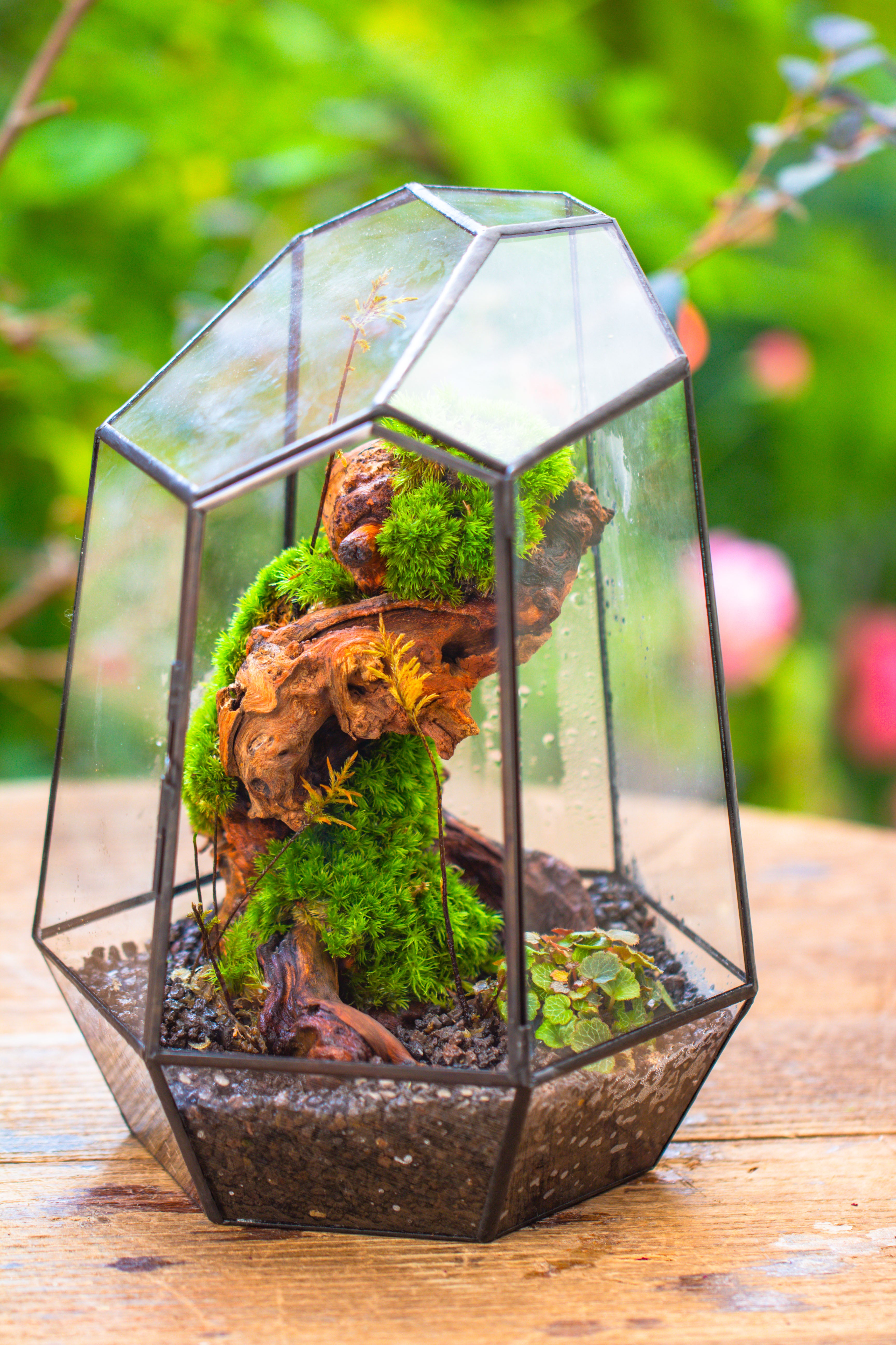 NCYP Large Close Geometric Glass Terrarium with Door, Tin Sealed Irregular Tall Planter for moss Flower Pot - NCYPgarden