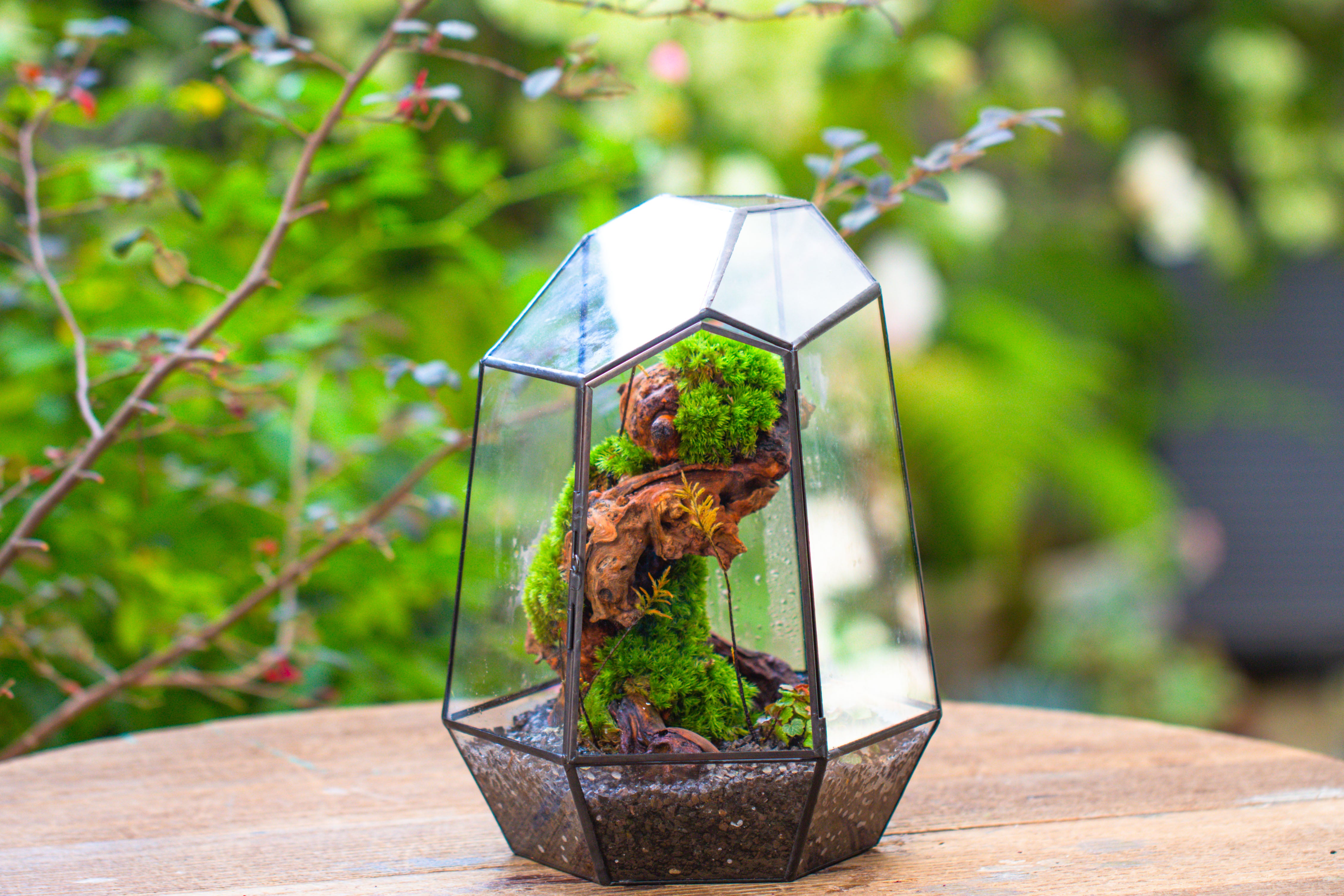 NCYP Large Close Geometric Glass Terrarium with Door, Tin Sealed Irregular Tall Planter for moss Flower Pot - NCYPgarden