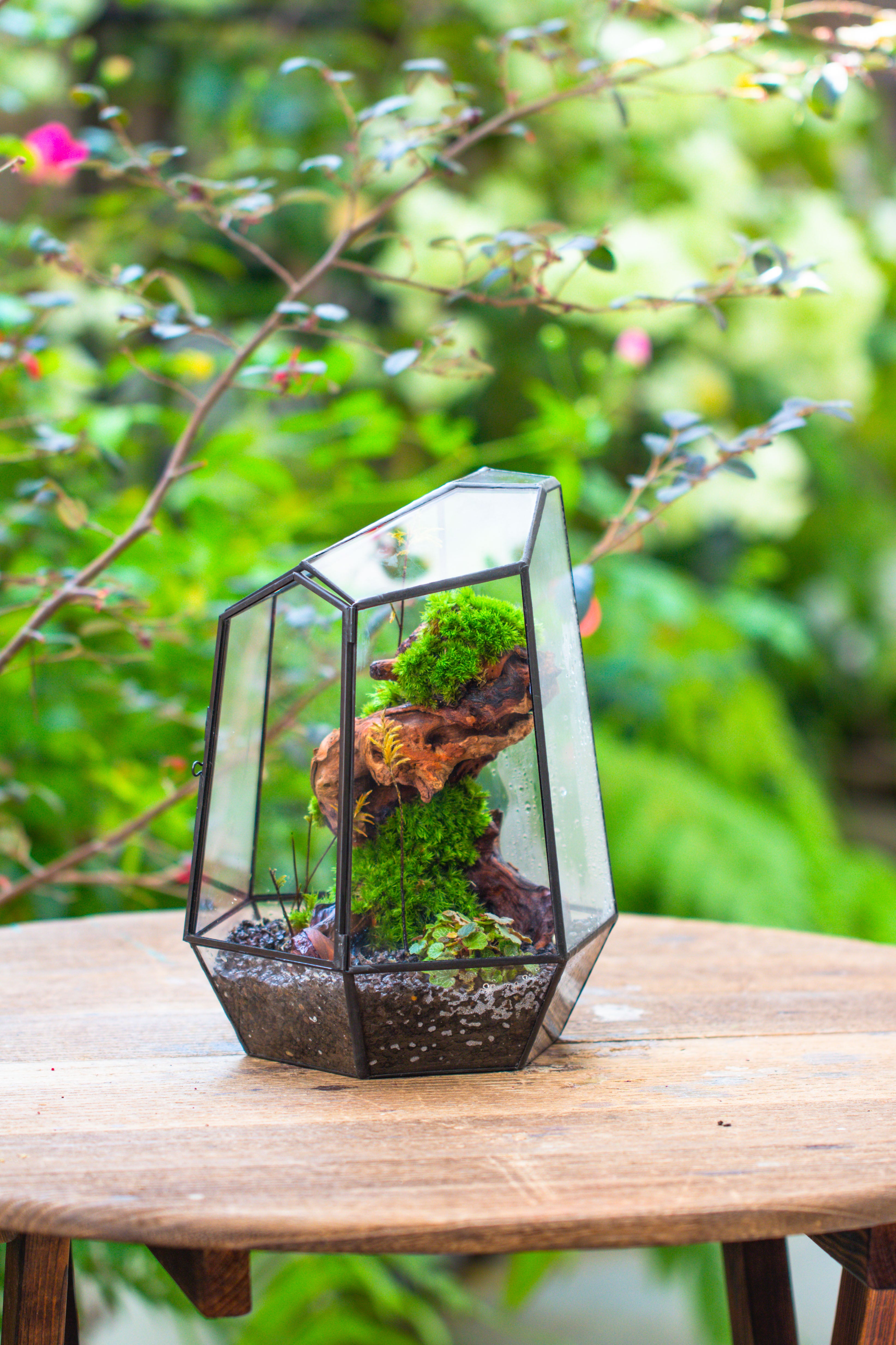 NCYP Large Close Geometric Glass Terrarium with Door, Tin Sealed Irregular Tall Planter for moss Flower Pot - NCYPgarden