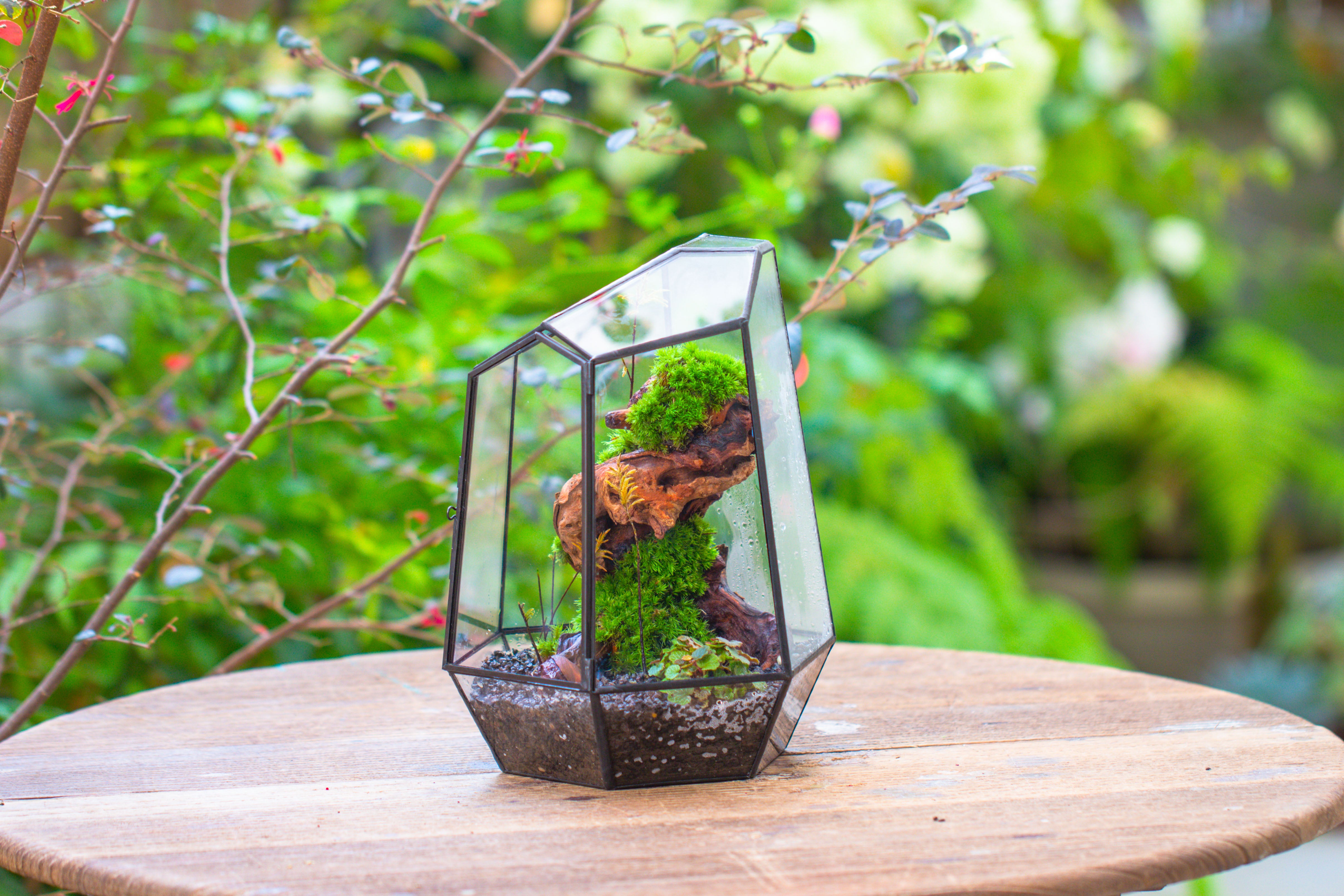 NCYP Large Close Geometric Glass Terrarium with Door, Tin Sealed Irregular Tall Planter for moss Flower Pot - NCYPgarden