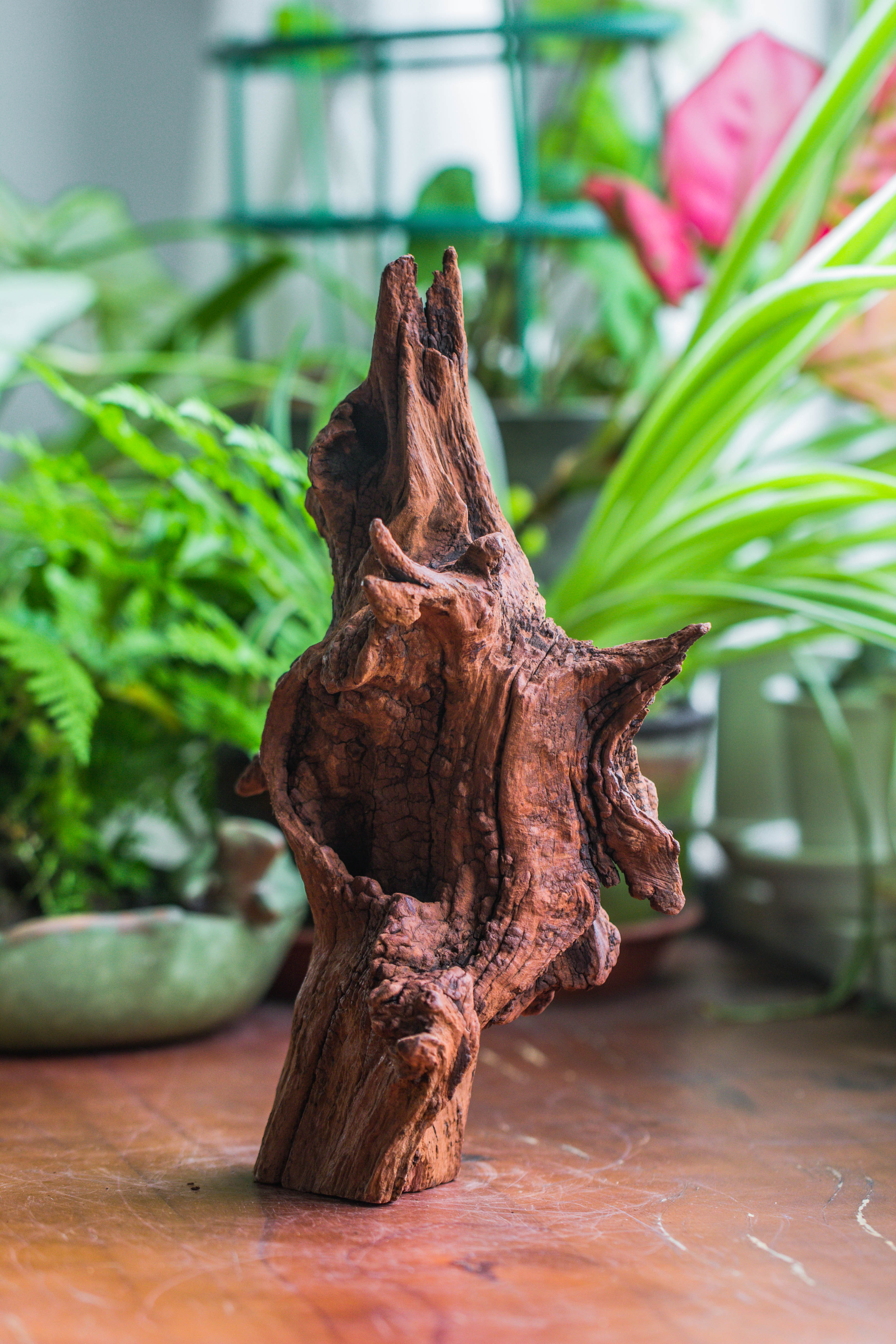 Copy of Natural driftwood for moss terrarium, miniature, micro landscape, unique  10-33, suitable for both live and preserved moss - NCYPgarden