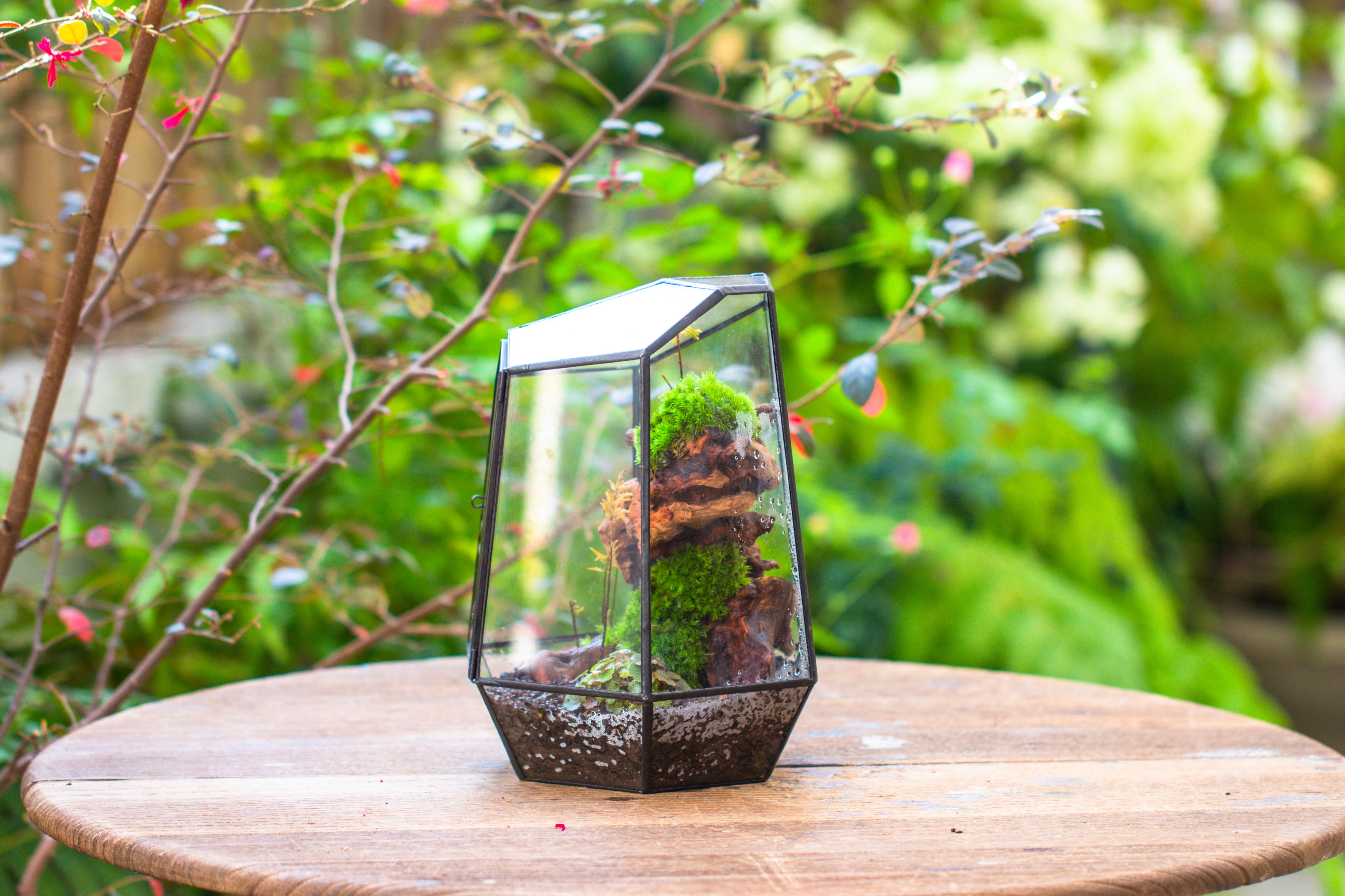 NCYP Large Close Geometric Glass Terrarium with Door, Tin Sealed Irregular Tall Planter for moss Flower Pot - NCYPgarden