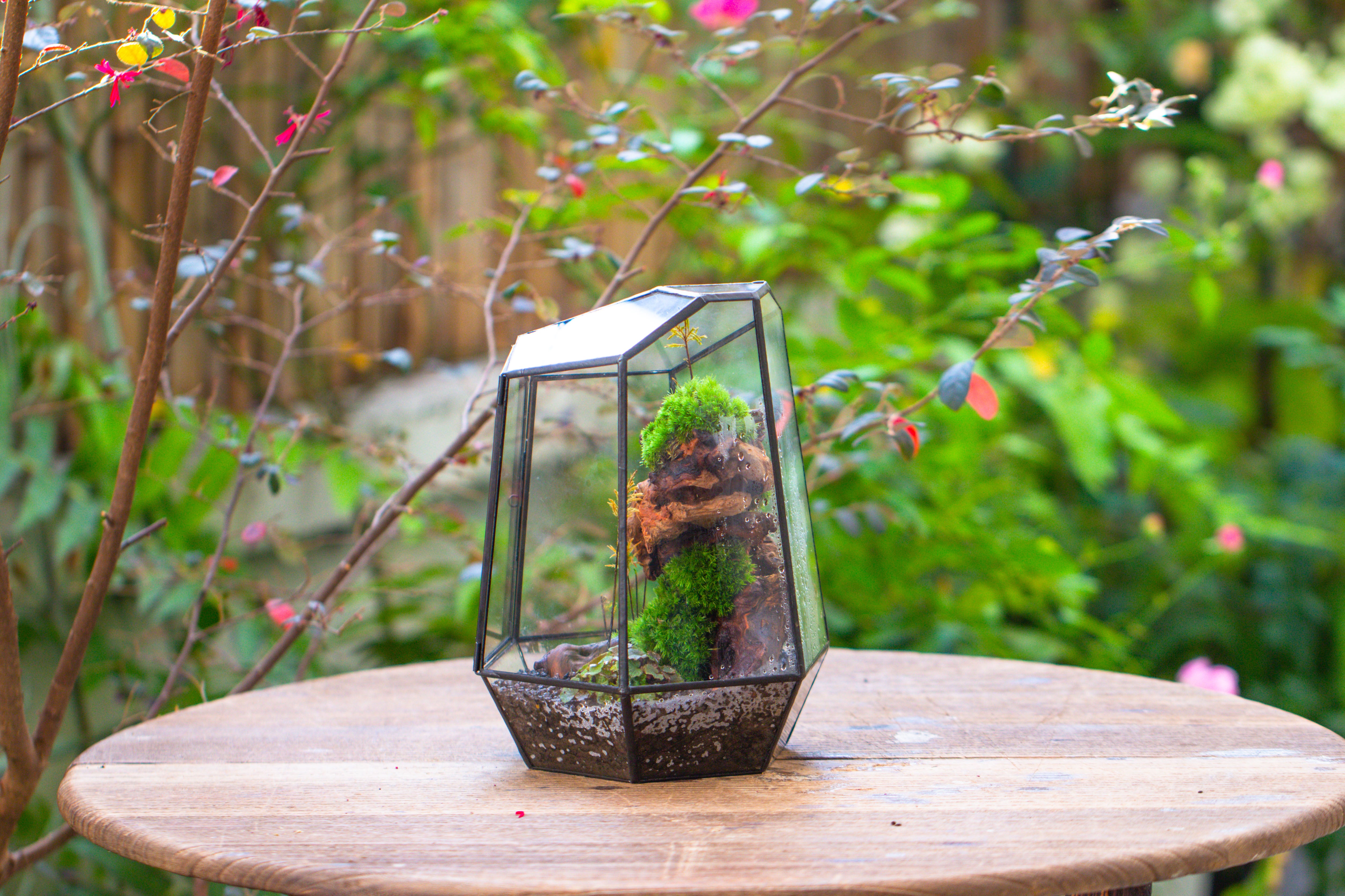 NCYP Large Close Geometric Glass Terrarium with Door, Tin Sealed Irregular Tall Planter for moss Flower Pot - NCYPgarden