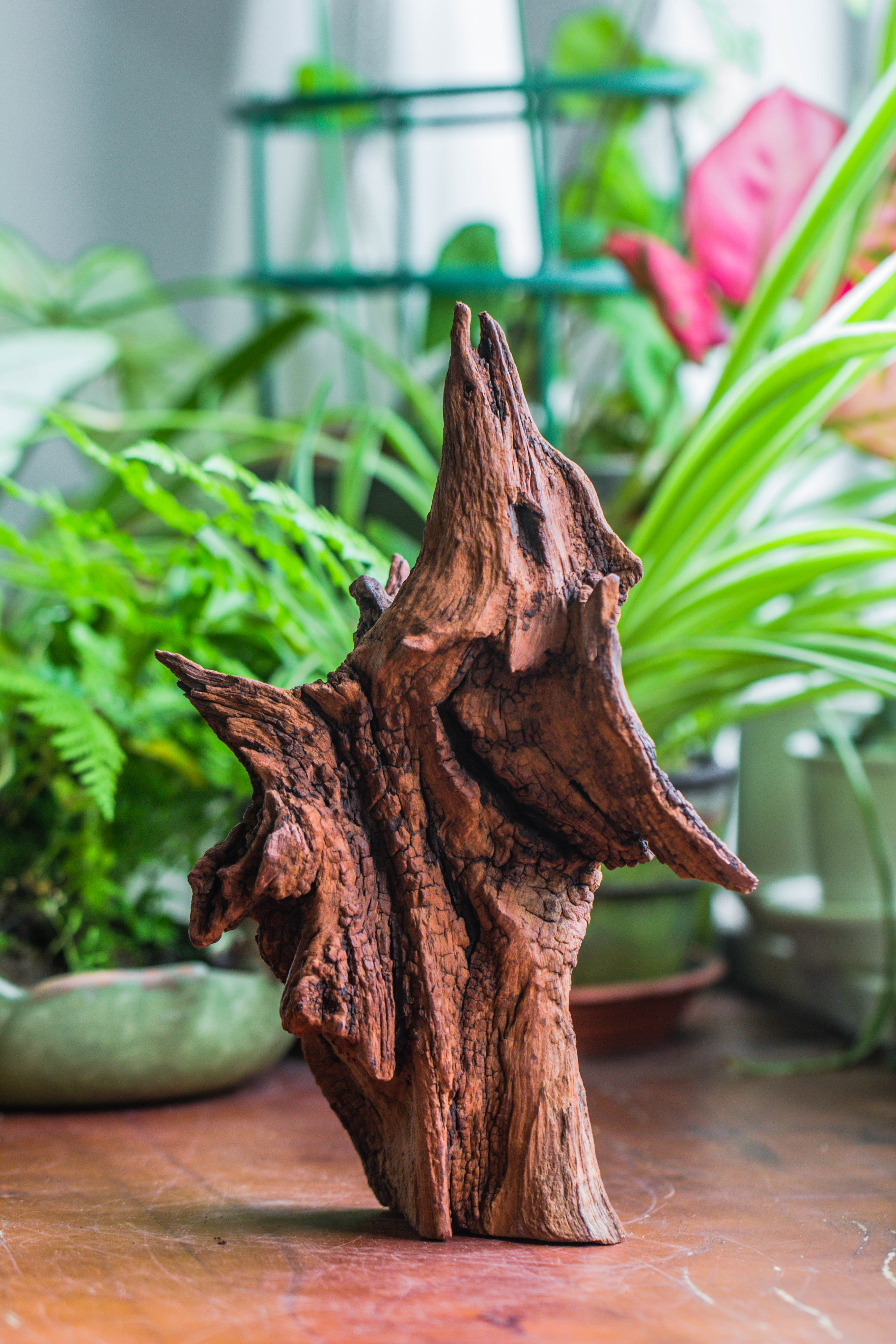 Copy of Natural driftwood for moss terrarium, miniature, micro landscape, unique  10-33, suitable for both live and preserved moss - NCYPgarden