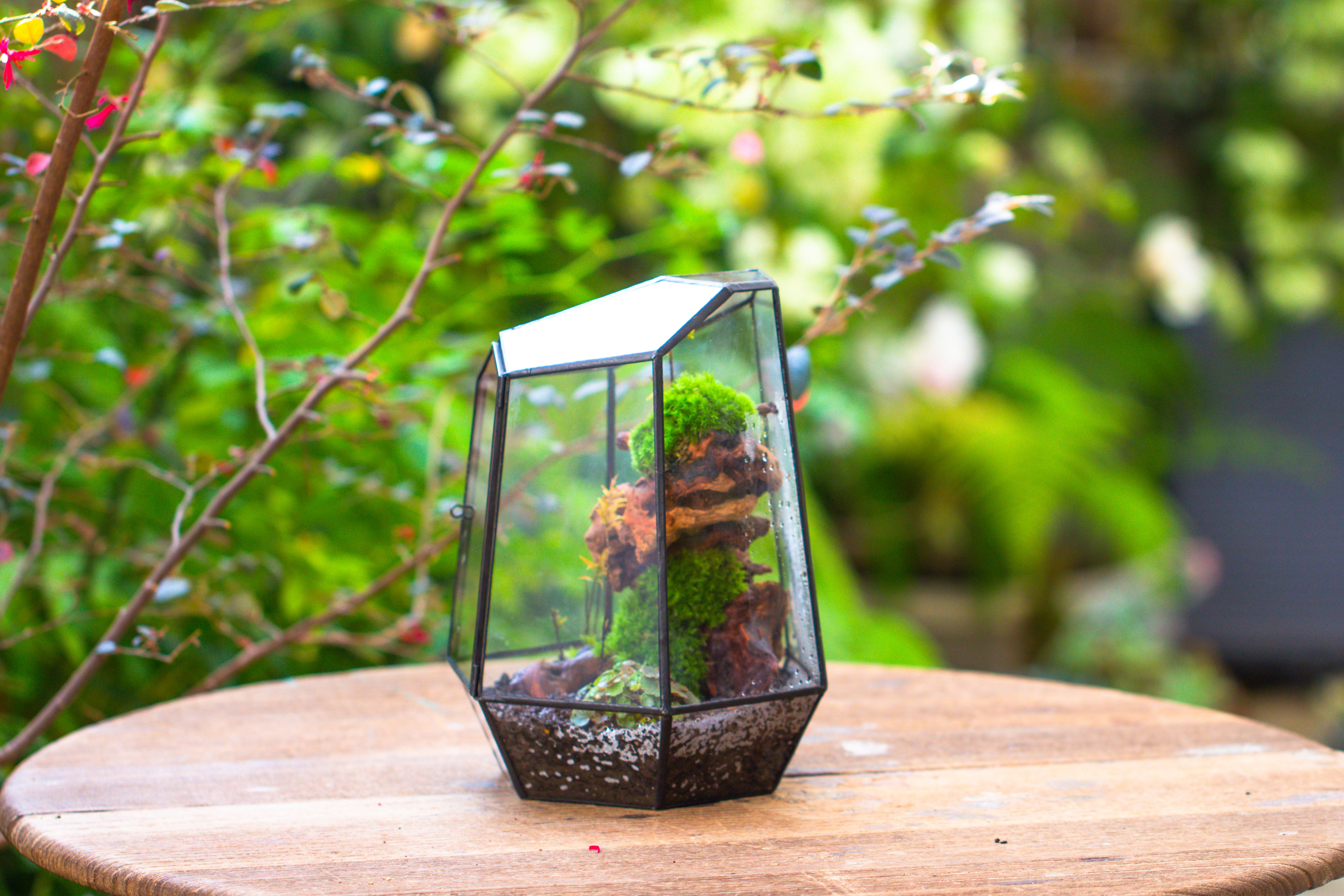 NCYP Large Close Geometric Glass Terrarium with Door, Tin Sealed Irregular Tall Planter for moss Flower Pot - NCYPgarden