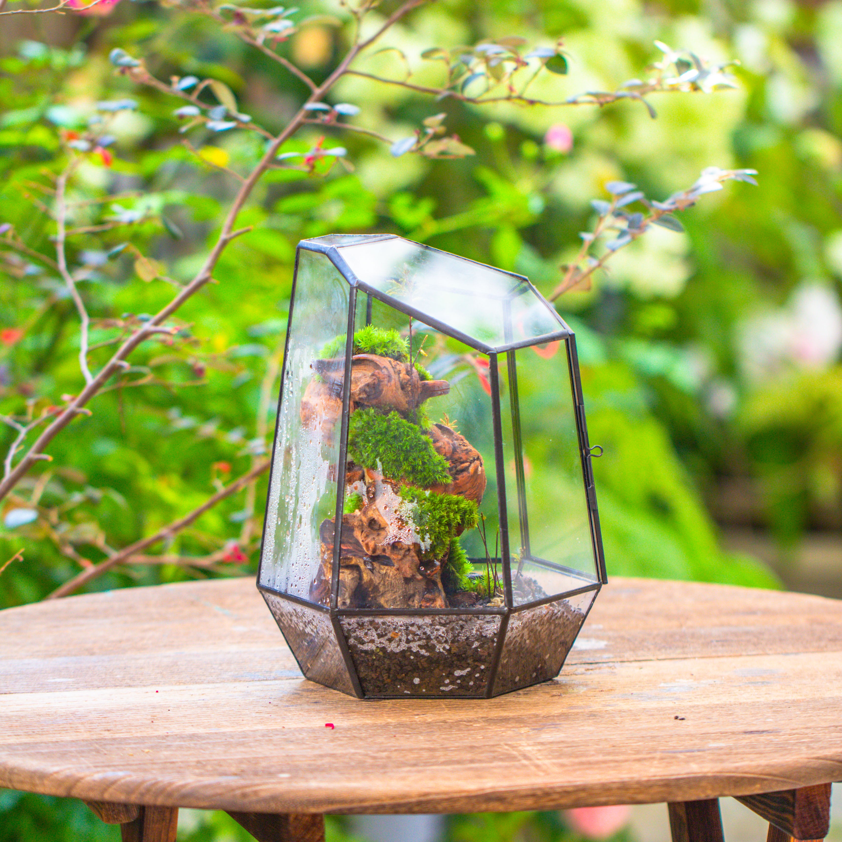 NCYP Large Close Geometric Glass Terrarium with Door, Tin Sealed Irregular Tall Planter for moss Flower Pot - NCYPgarden