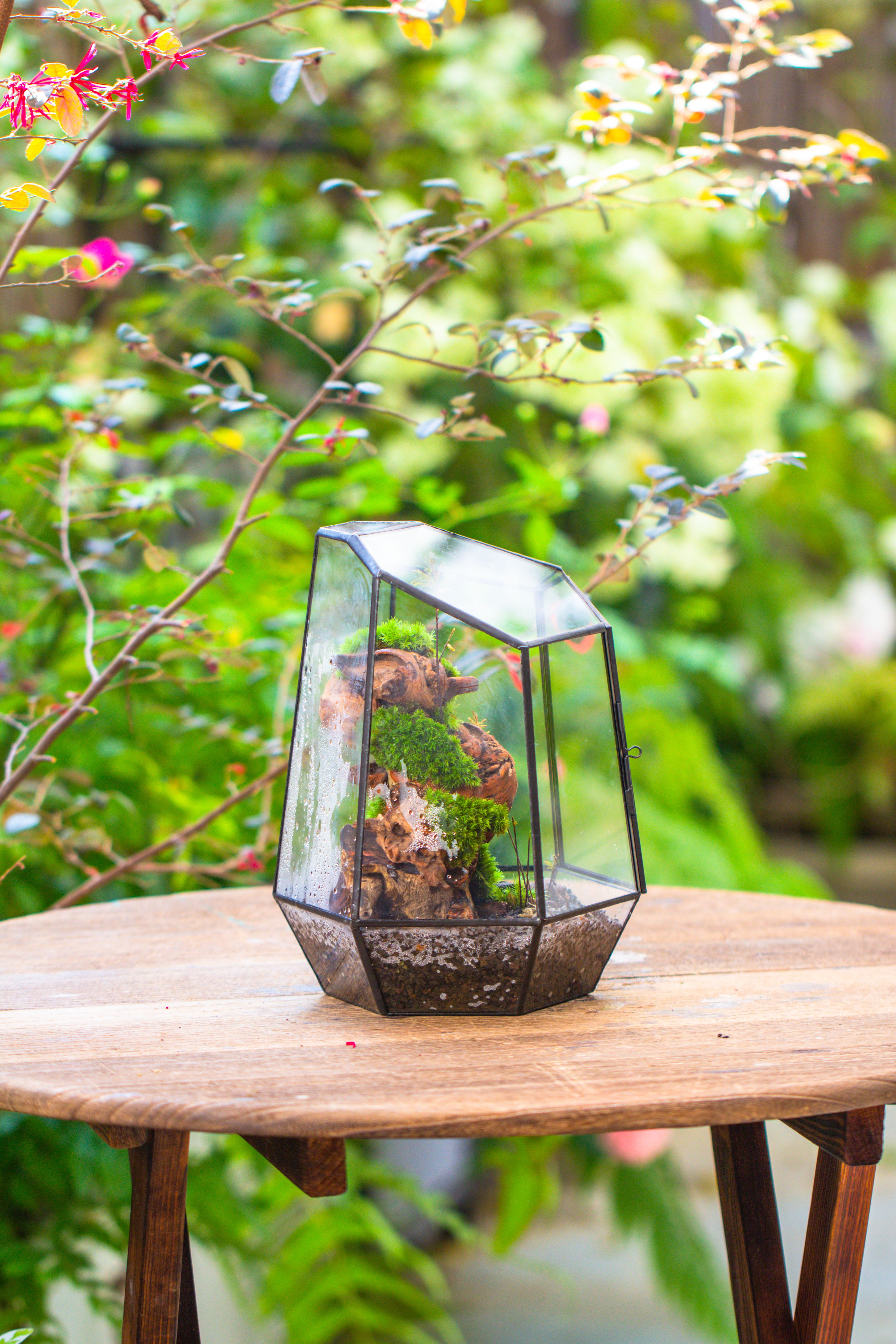 NCYP Large Close Geometric Glass Terrarium with Door, Tin Sealed Irregular Tall Planter for moss Flower Pot - NCYPgarden